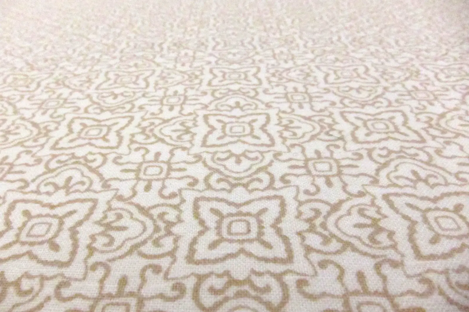 Cotton Broadcloth Print2