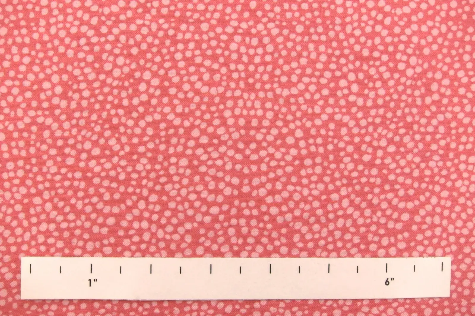 Cotton Broadcloth Print1
