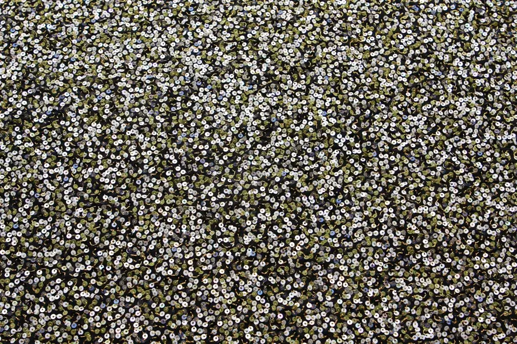 Sequins on Silk Chiffon0