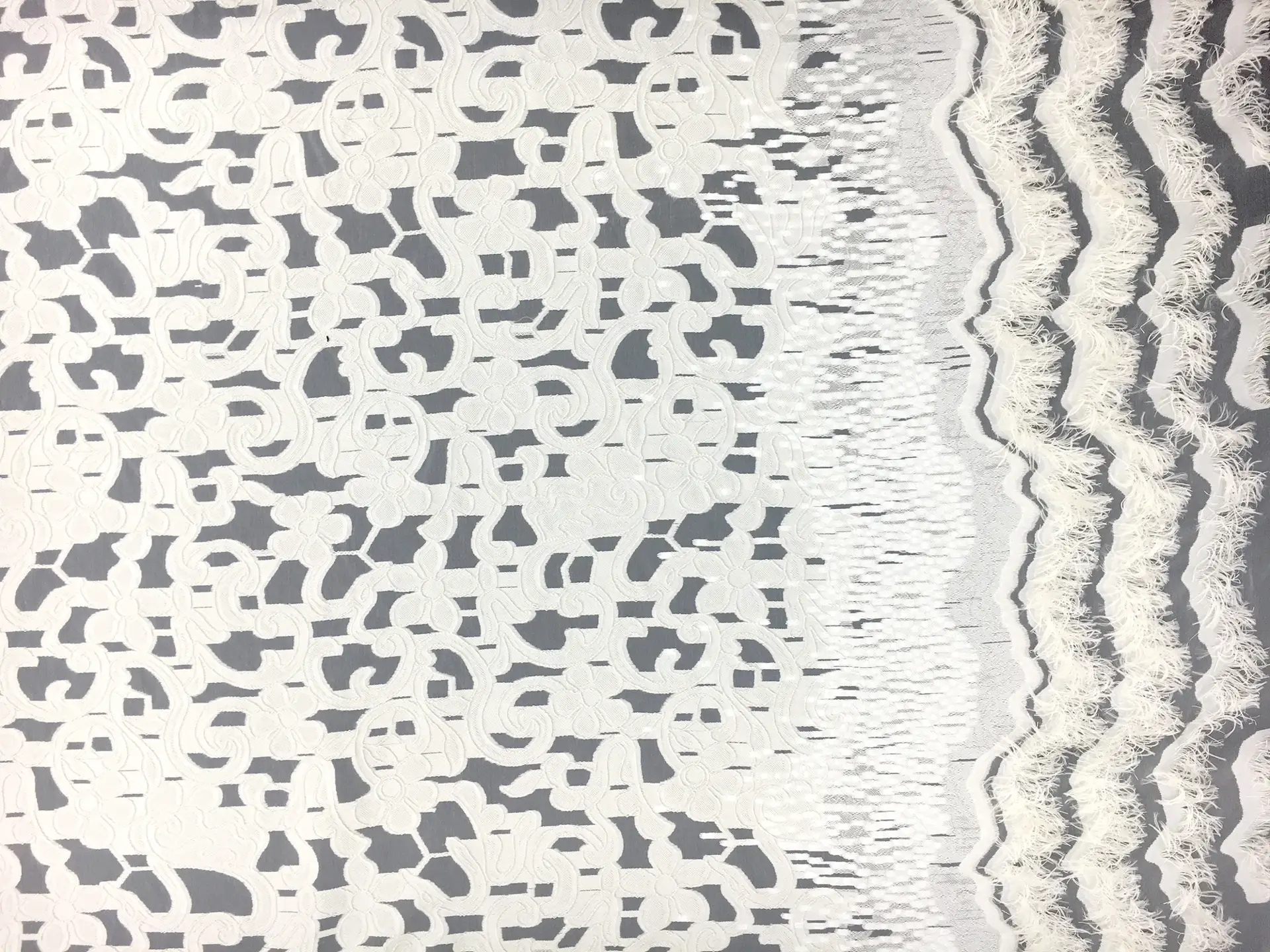 Fil Coupe Silk Organza with Fringe Border