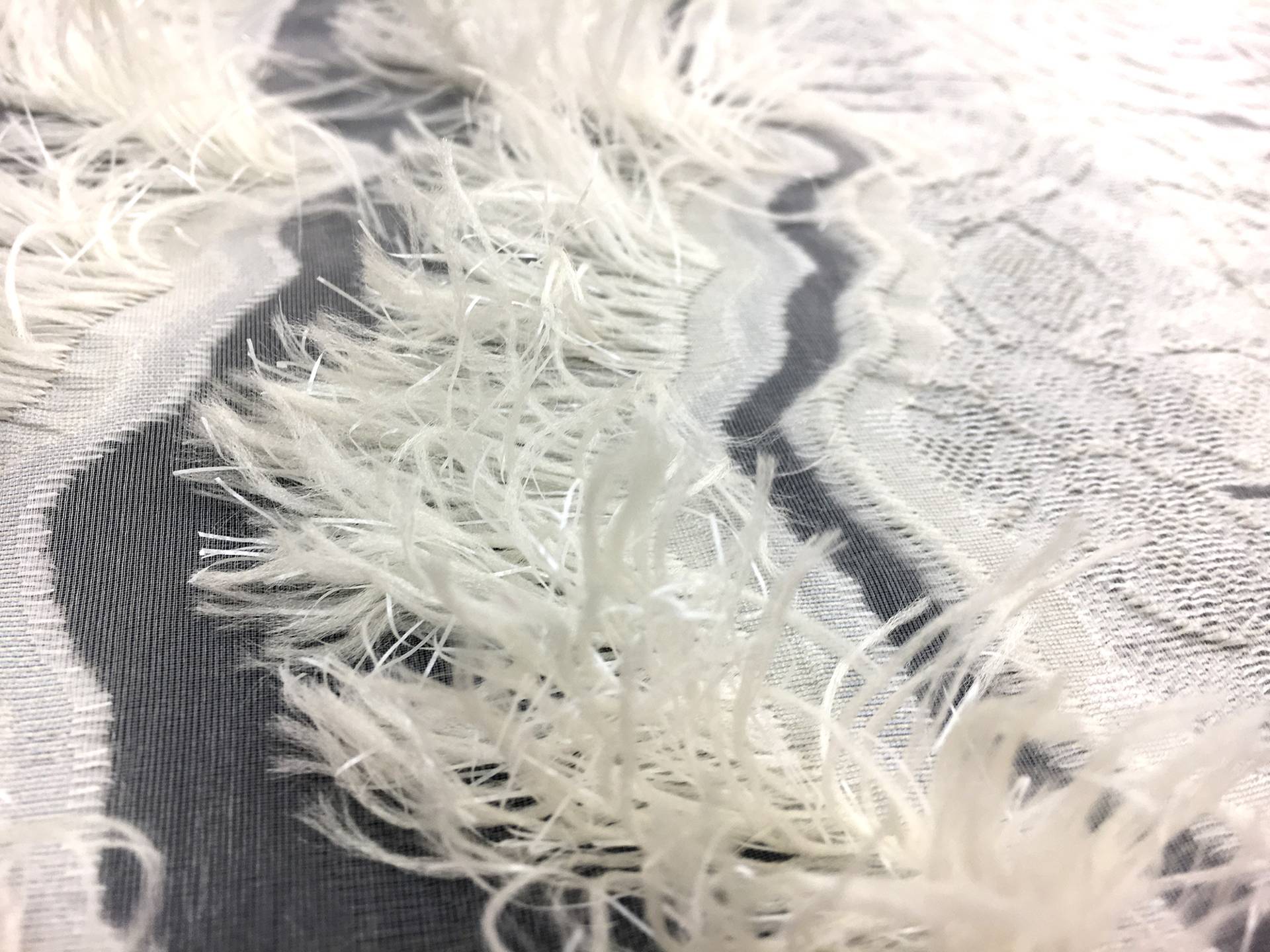 Fil Coupe Silk Organza with Fringe Border