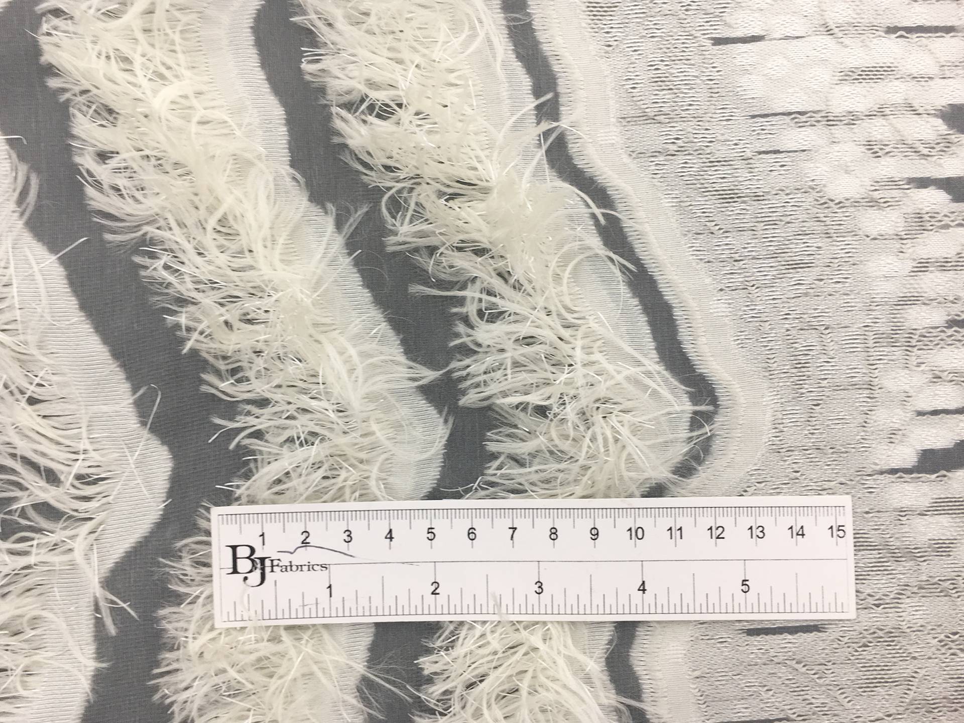 Fil Coupe Silk Organza with Fringe Border
