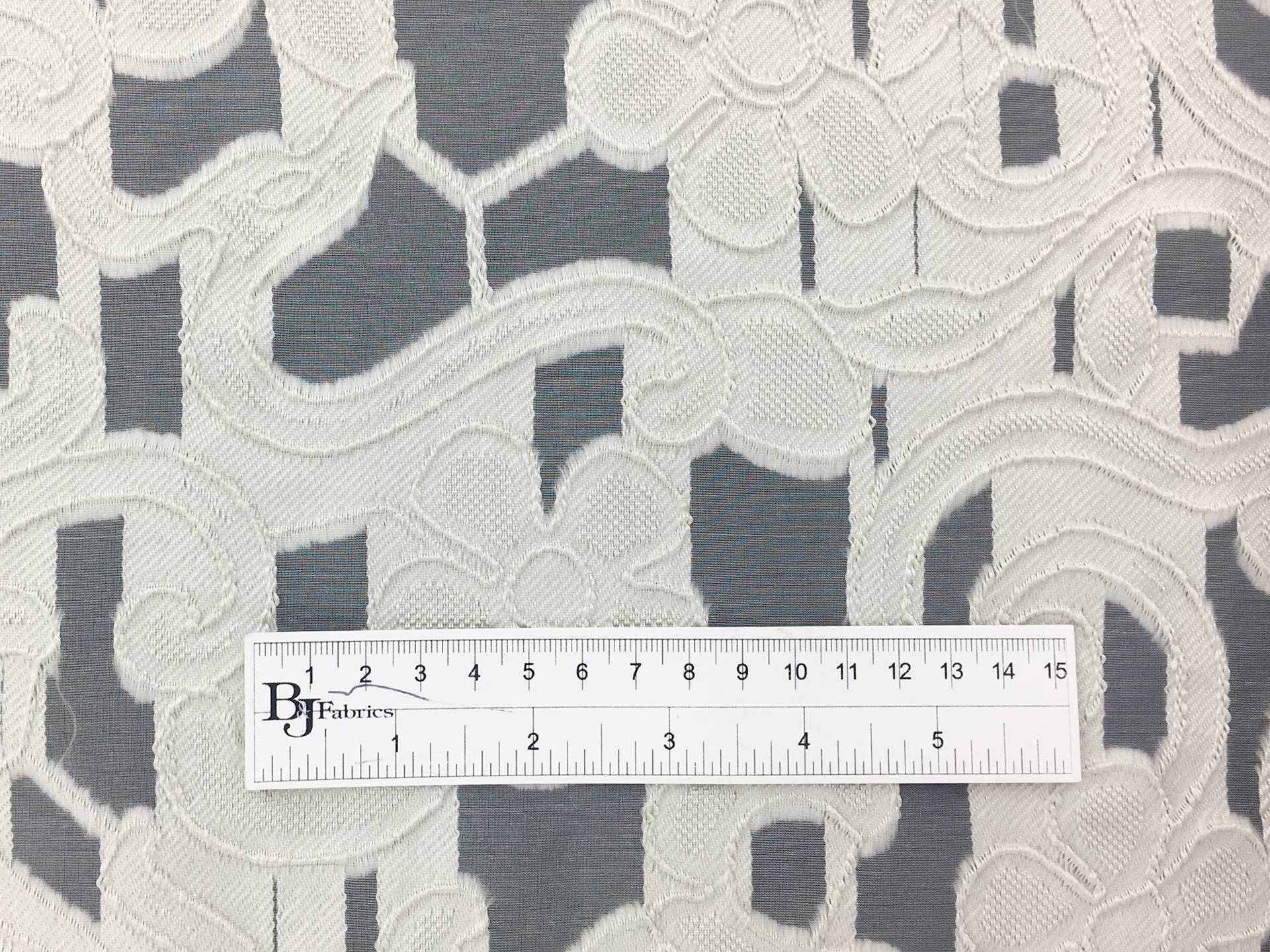 Fil Coupe Silk Organza with Fringe Border