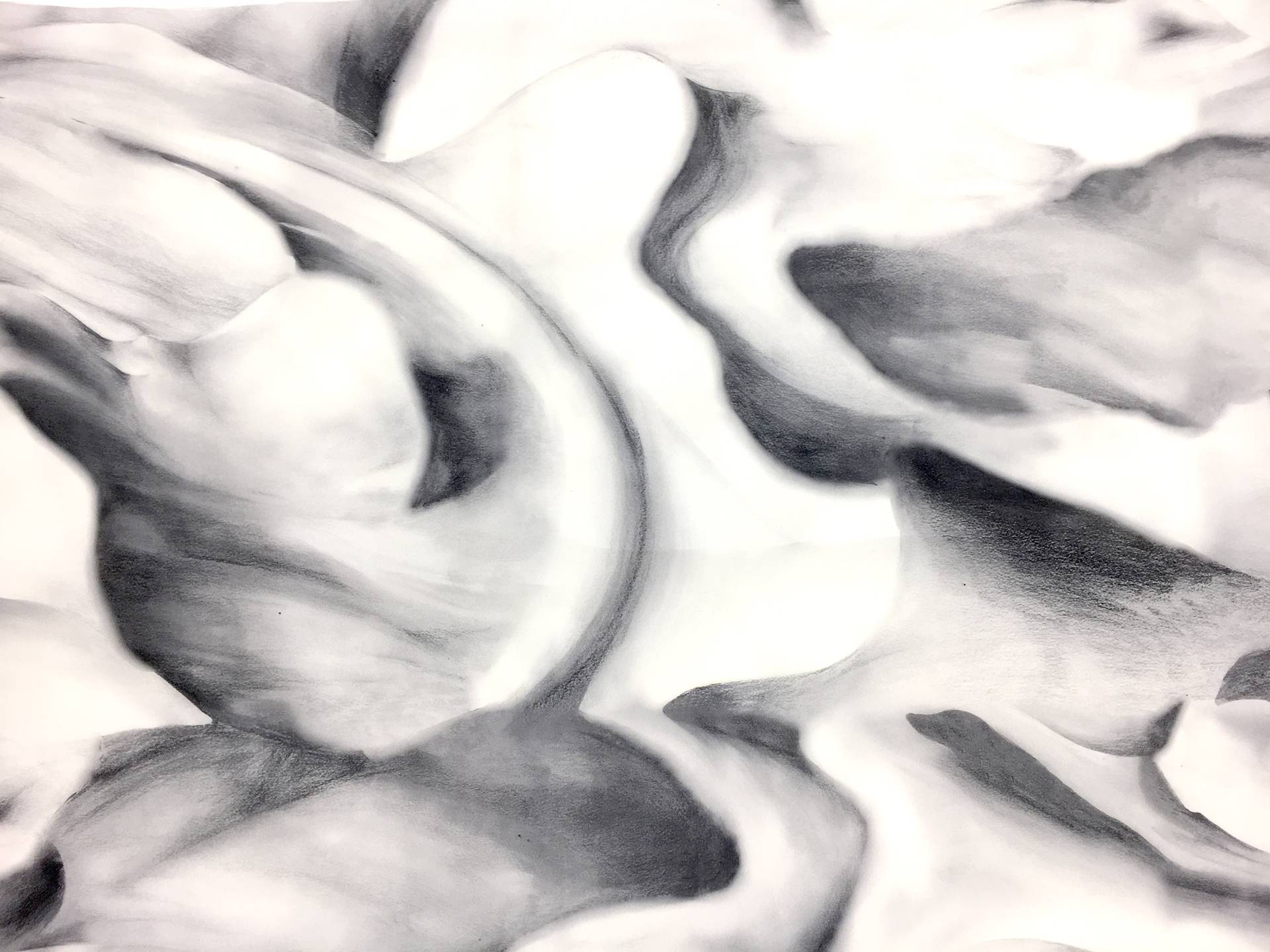 Printed Silk Couture Gazar