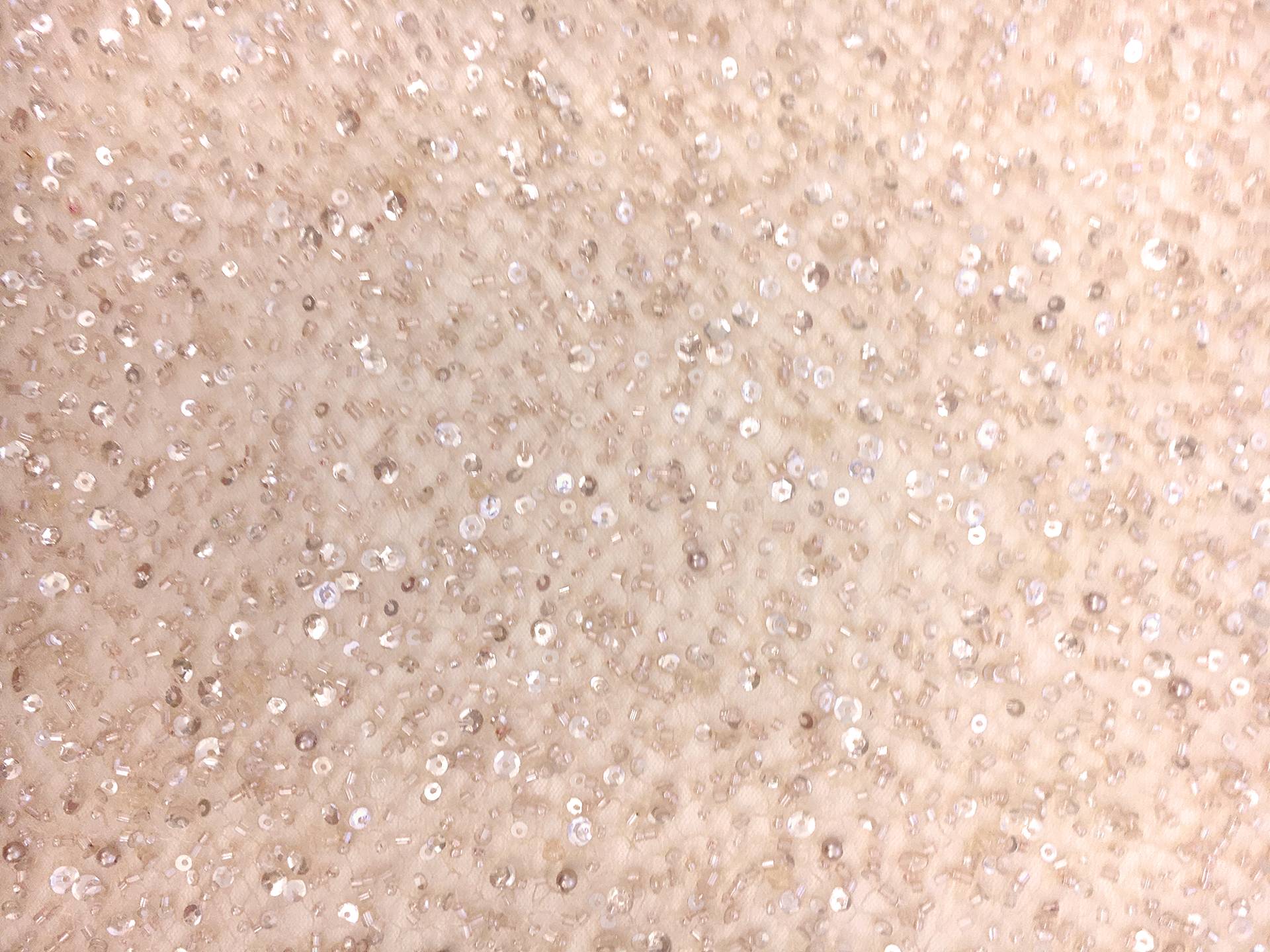 Heavy Beaded Tulle in Nude