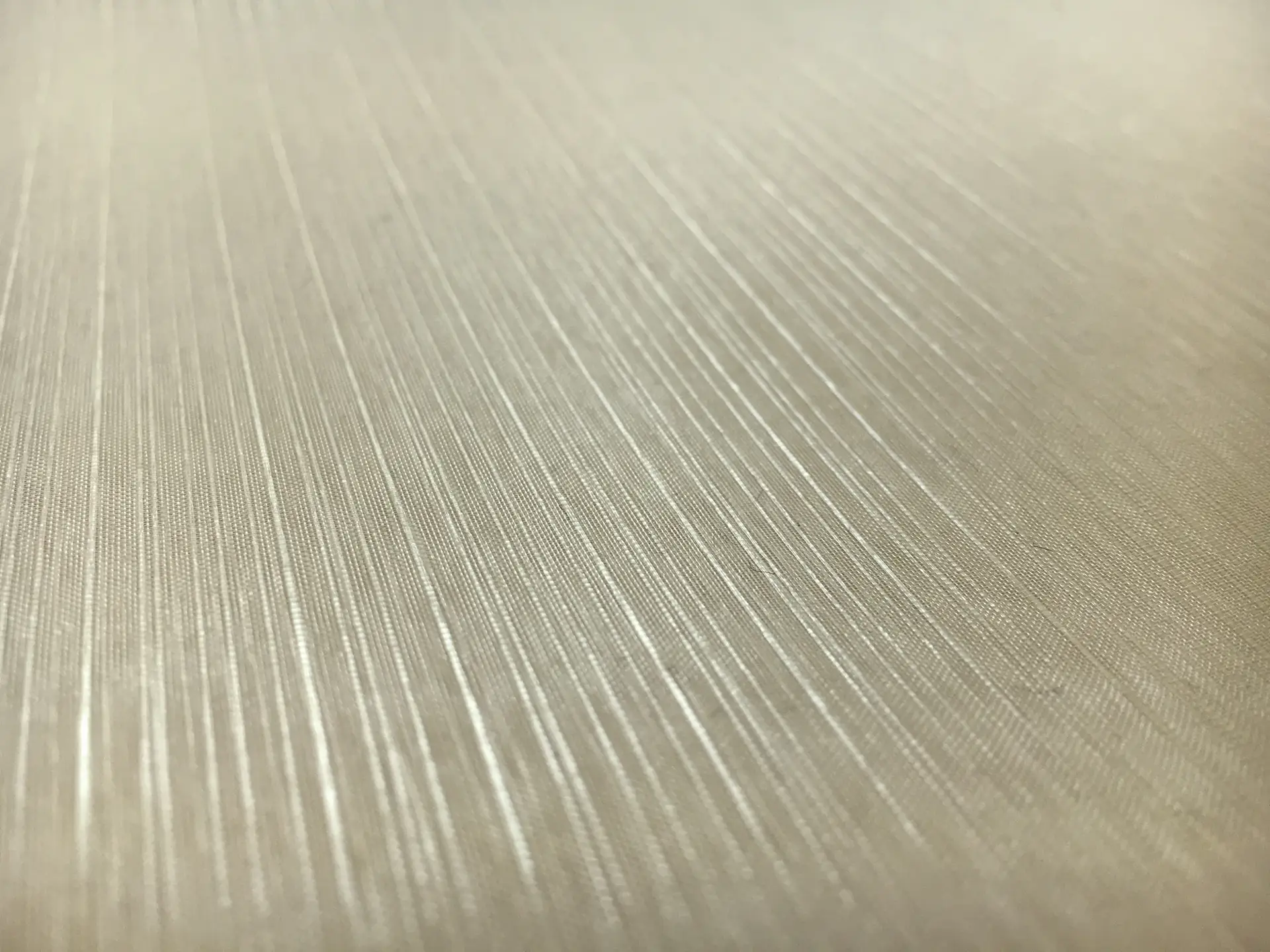 Crystal Stripe Polyester Organza in Mink