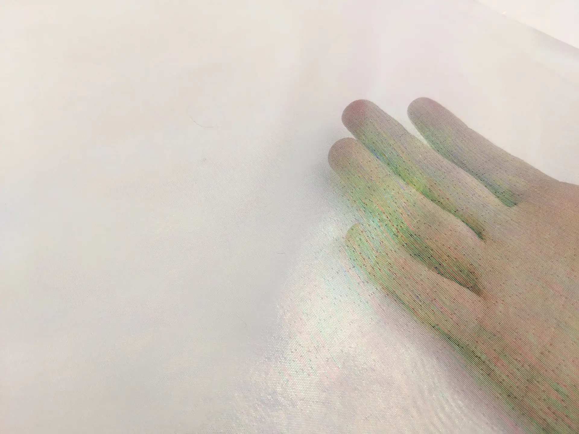 Sheer Opalescent Organza in White