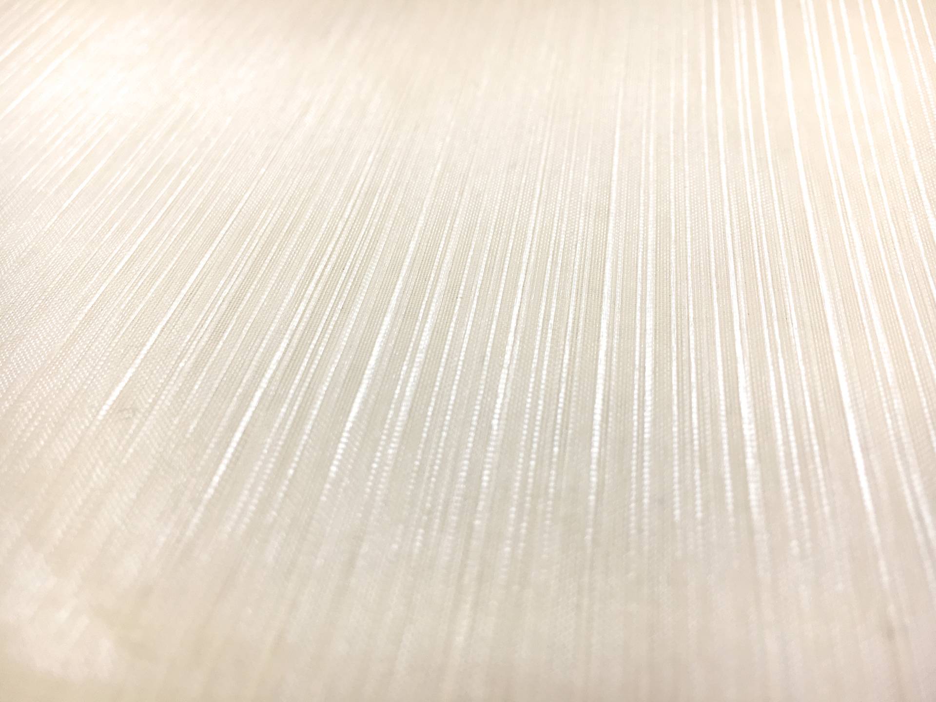 Crystal Stripe Polyester Organza in Champagne