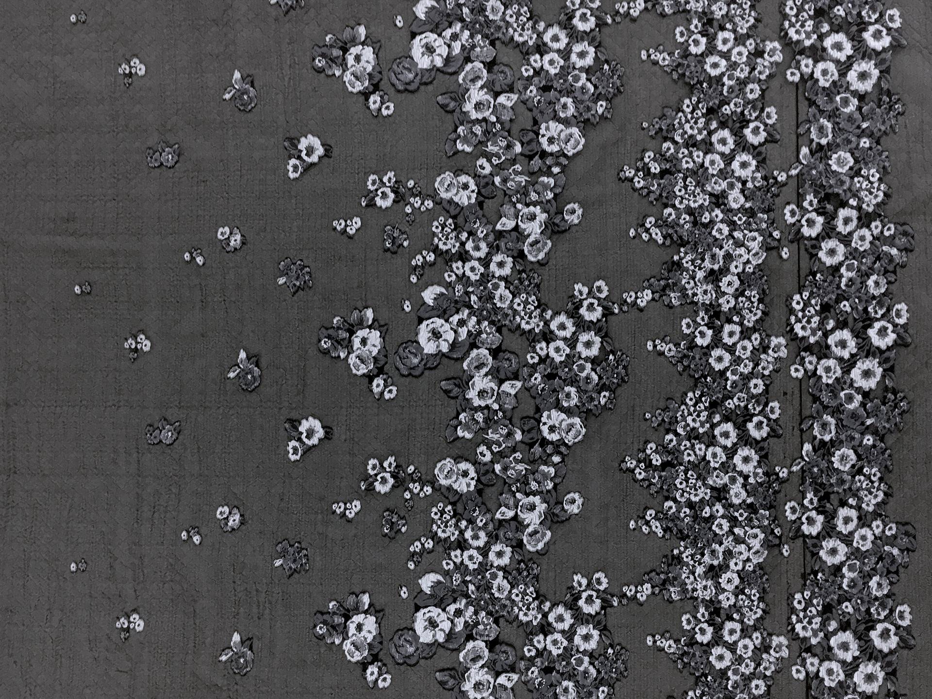 degrade panel1