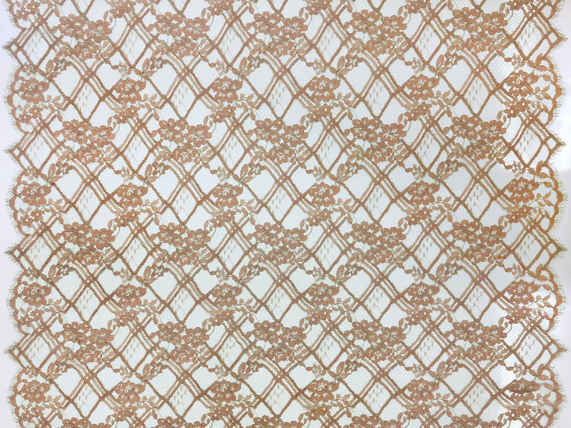 Metallic Floral Chantilly Lace in Mint and Pumpkin 