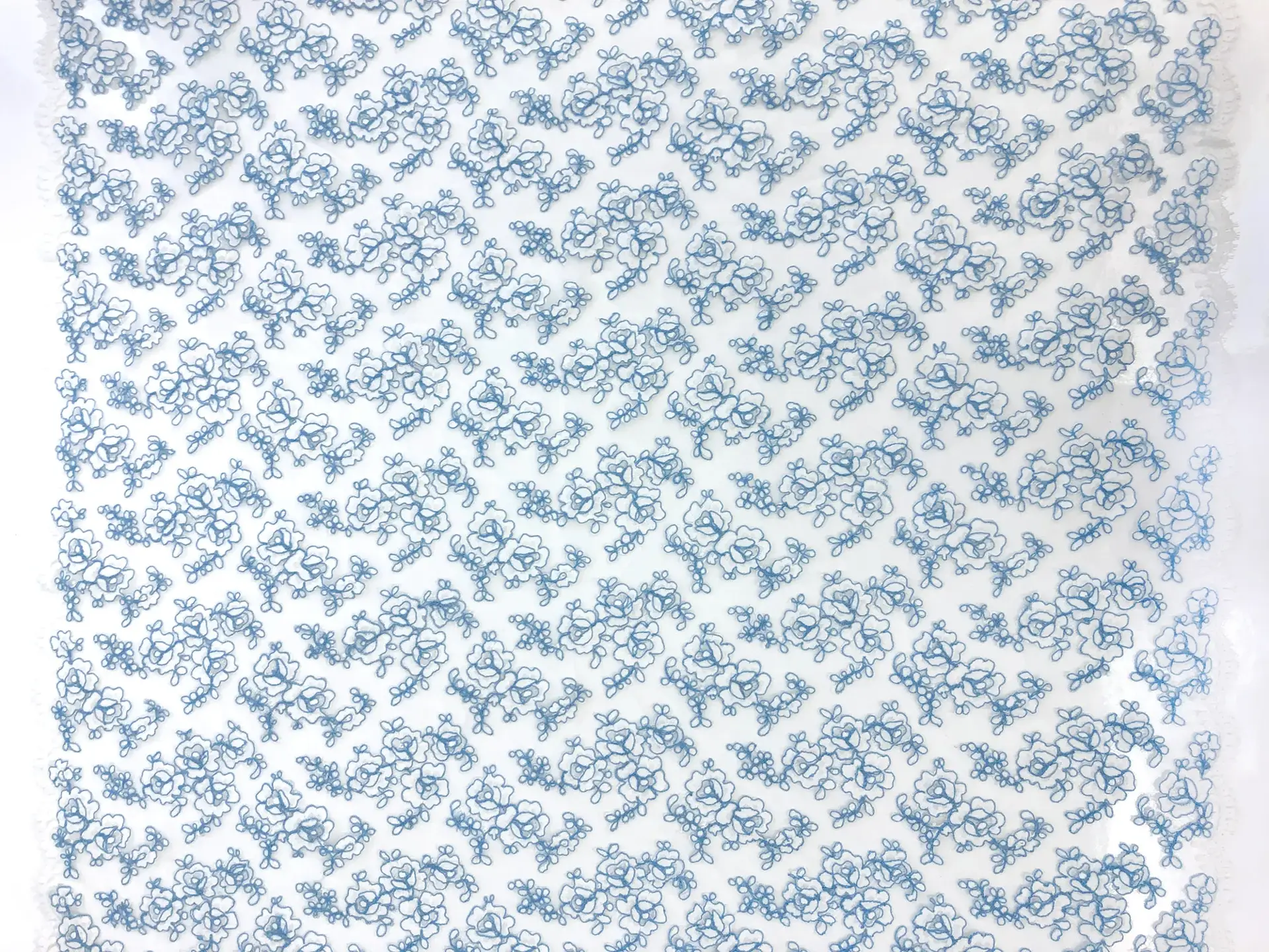Double scallop floral corded French Chantilly Lace in White and Sky Blue