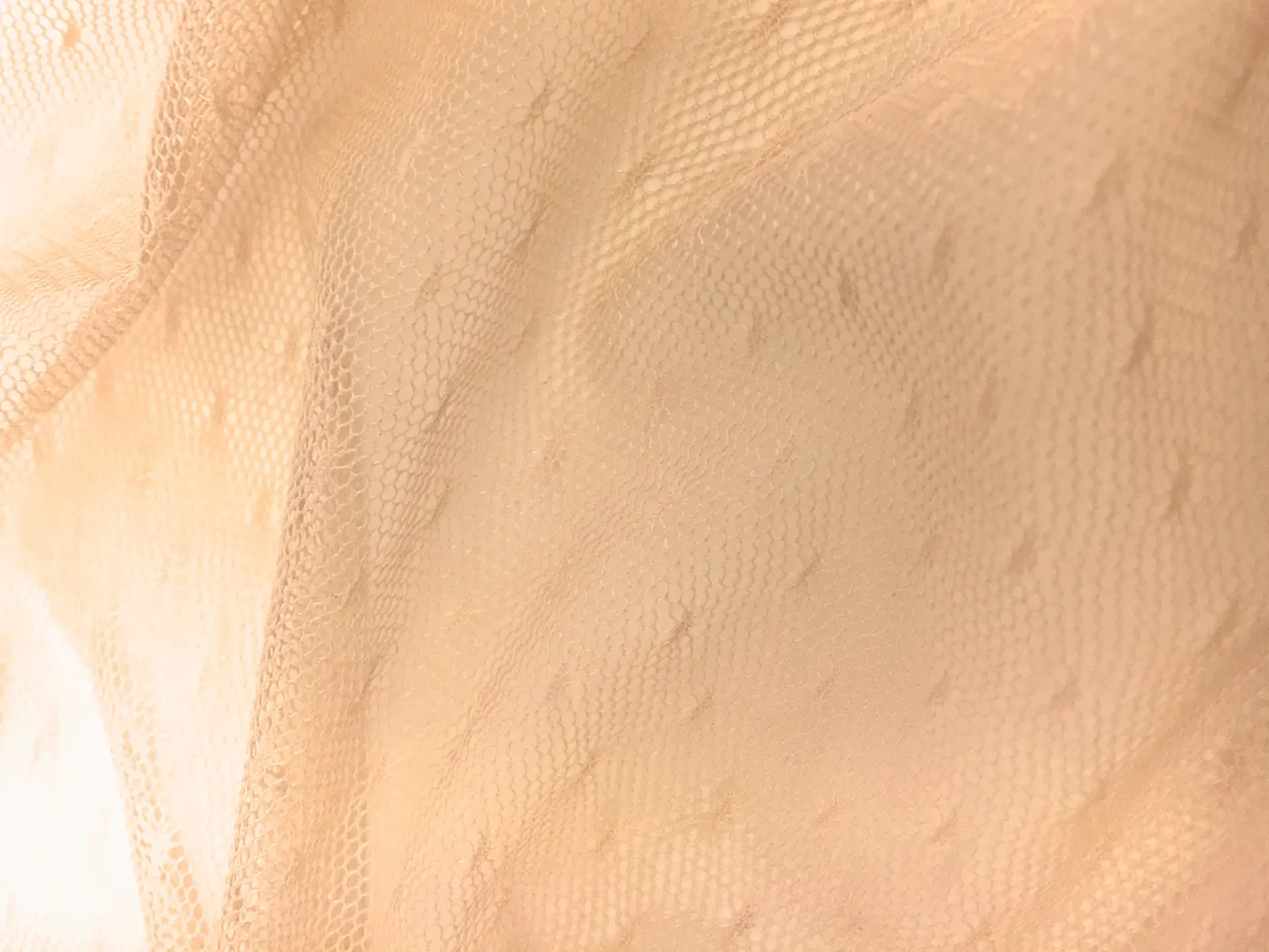 Point D'Esprit in Nude