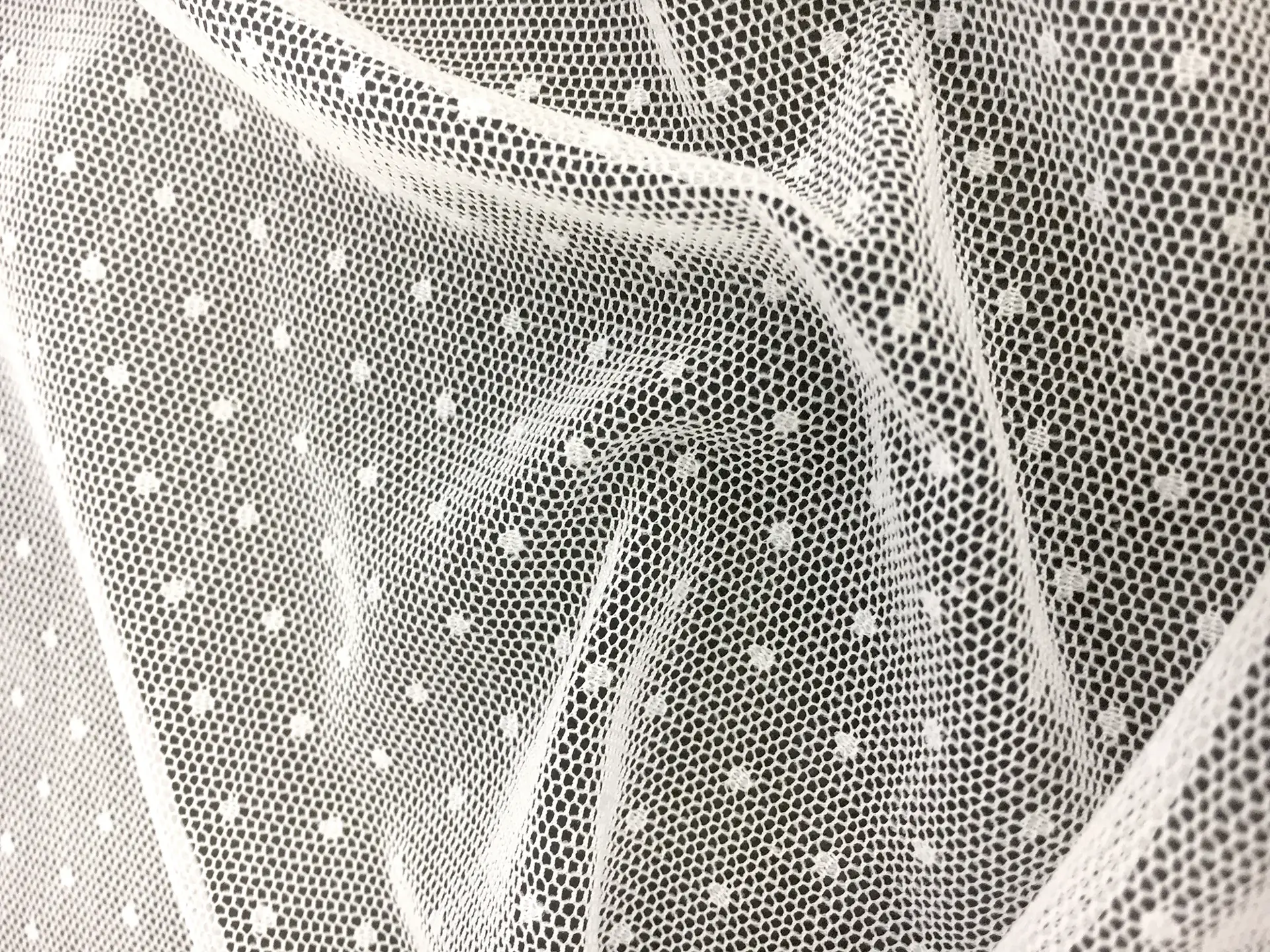 Point D'Esprit in White