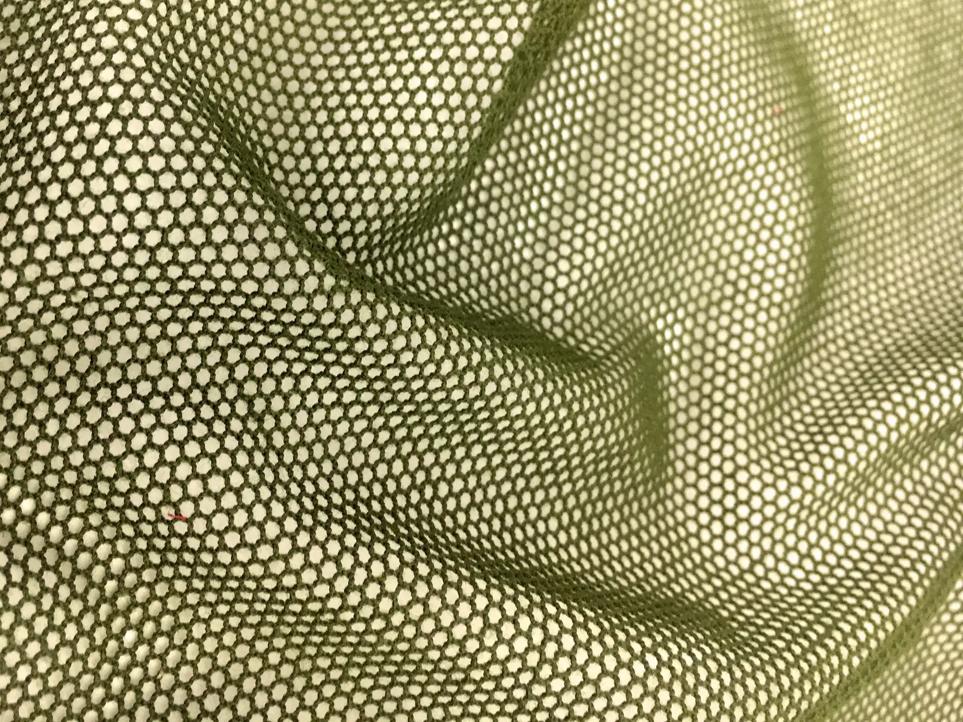 Swiss Cotton Bobbinet in Green