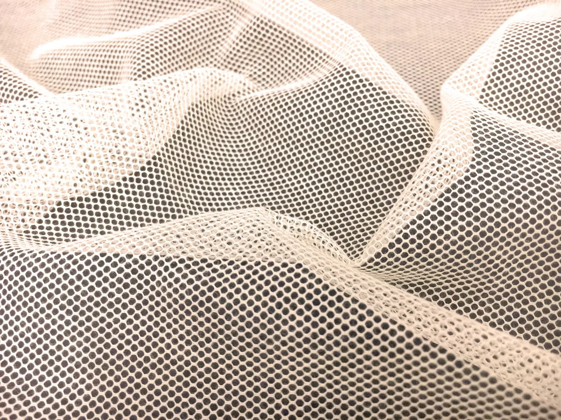 Swiss Cotton Bobbinet in Cream