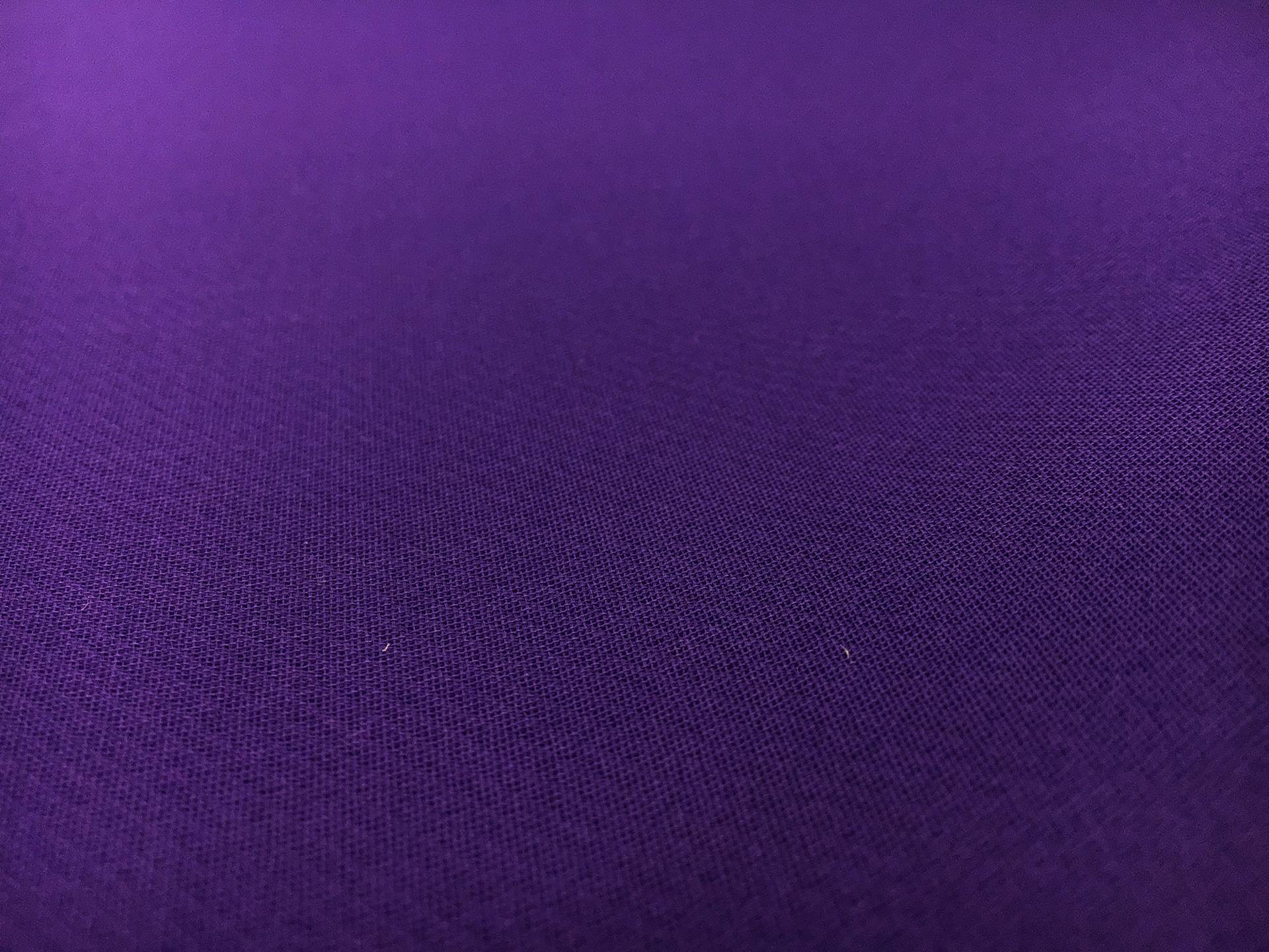 Silk Gazar in Purple