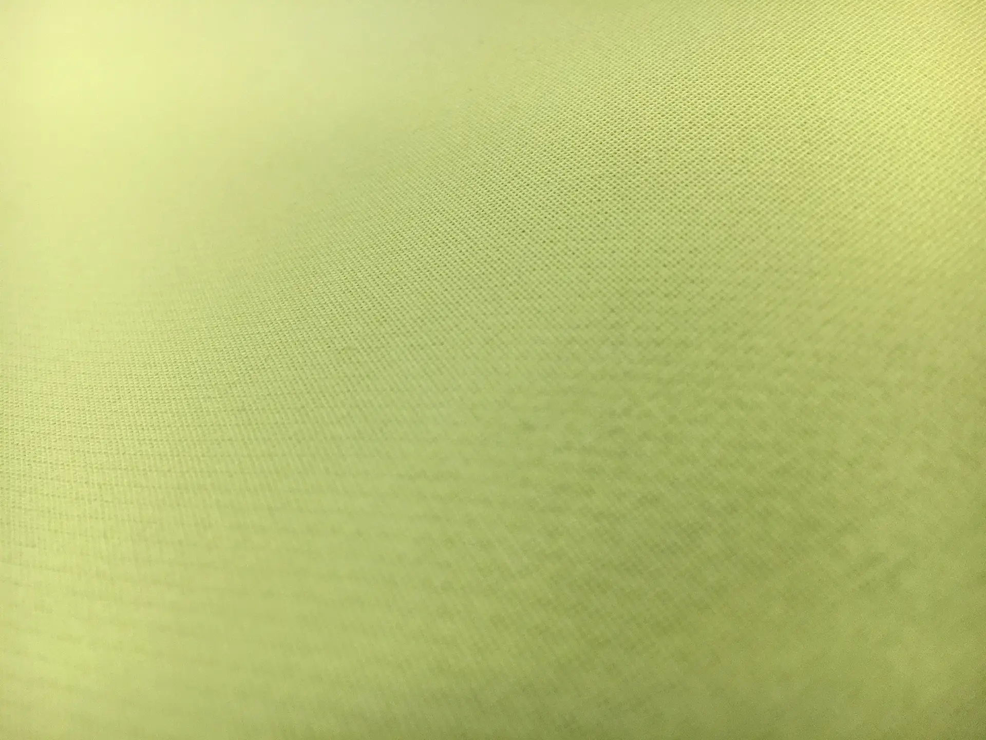 Silk Gazar in Celery
