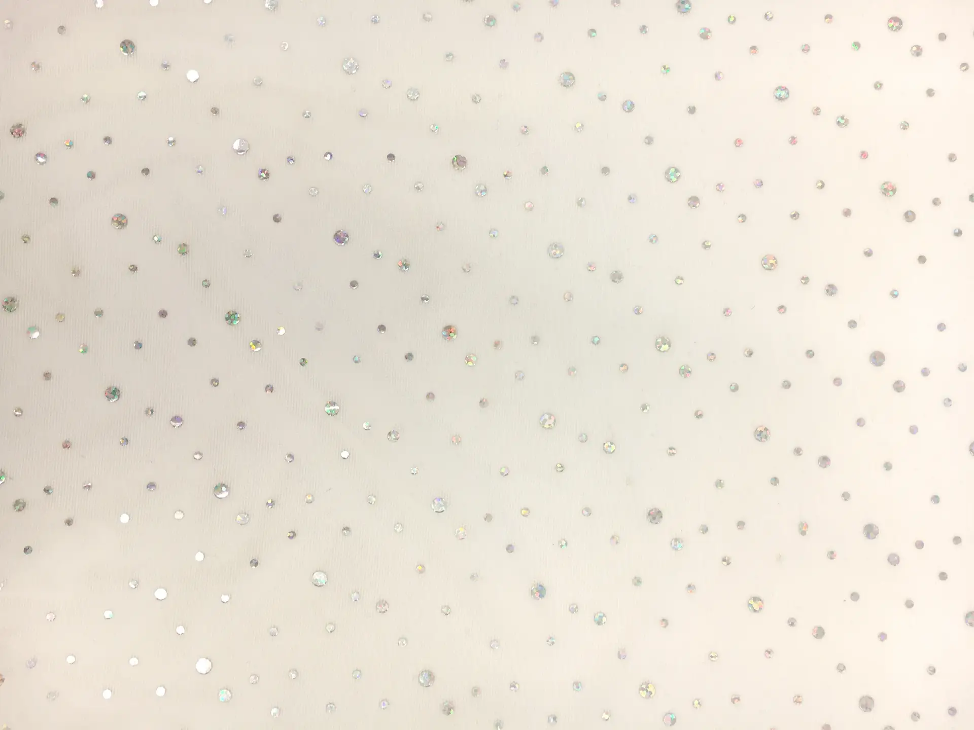 Hologram Tulle in Ivory