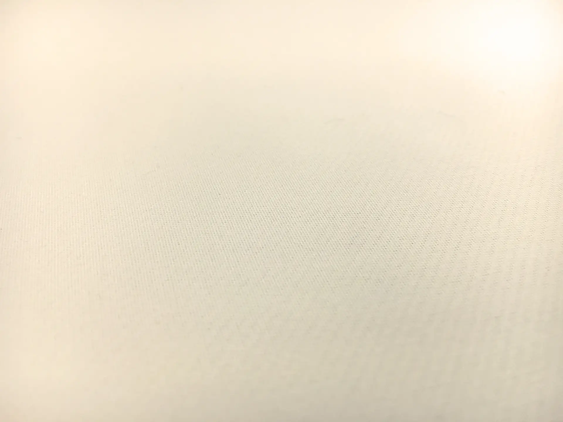 Pure Silk Gazar in Ivory