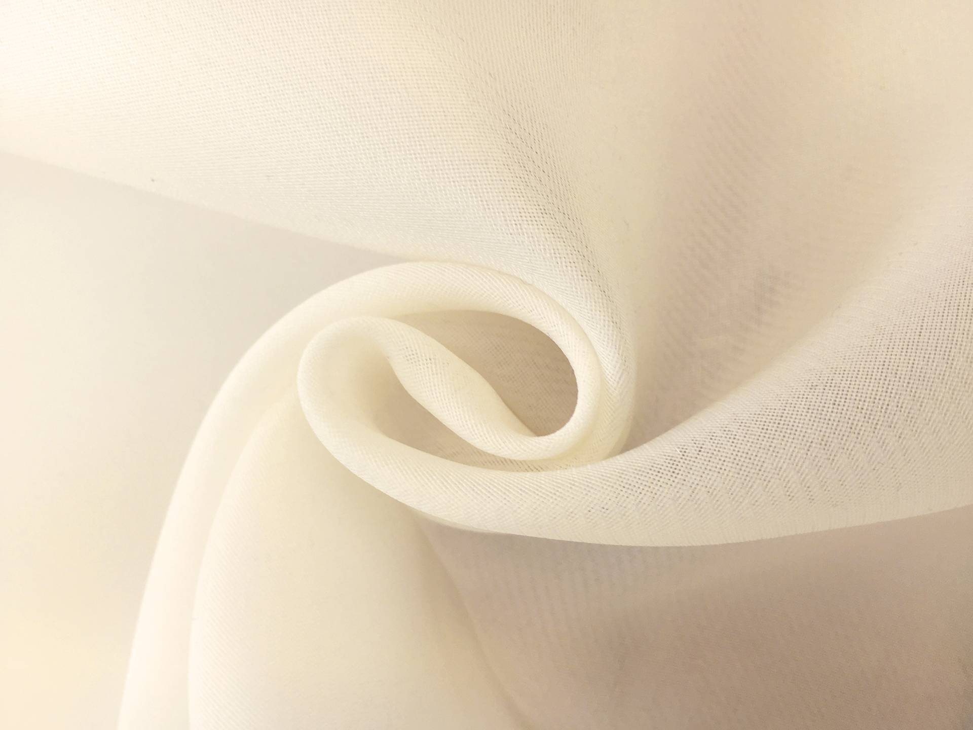 Pure Silk Gazar in Ivory