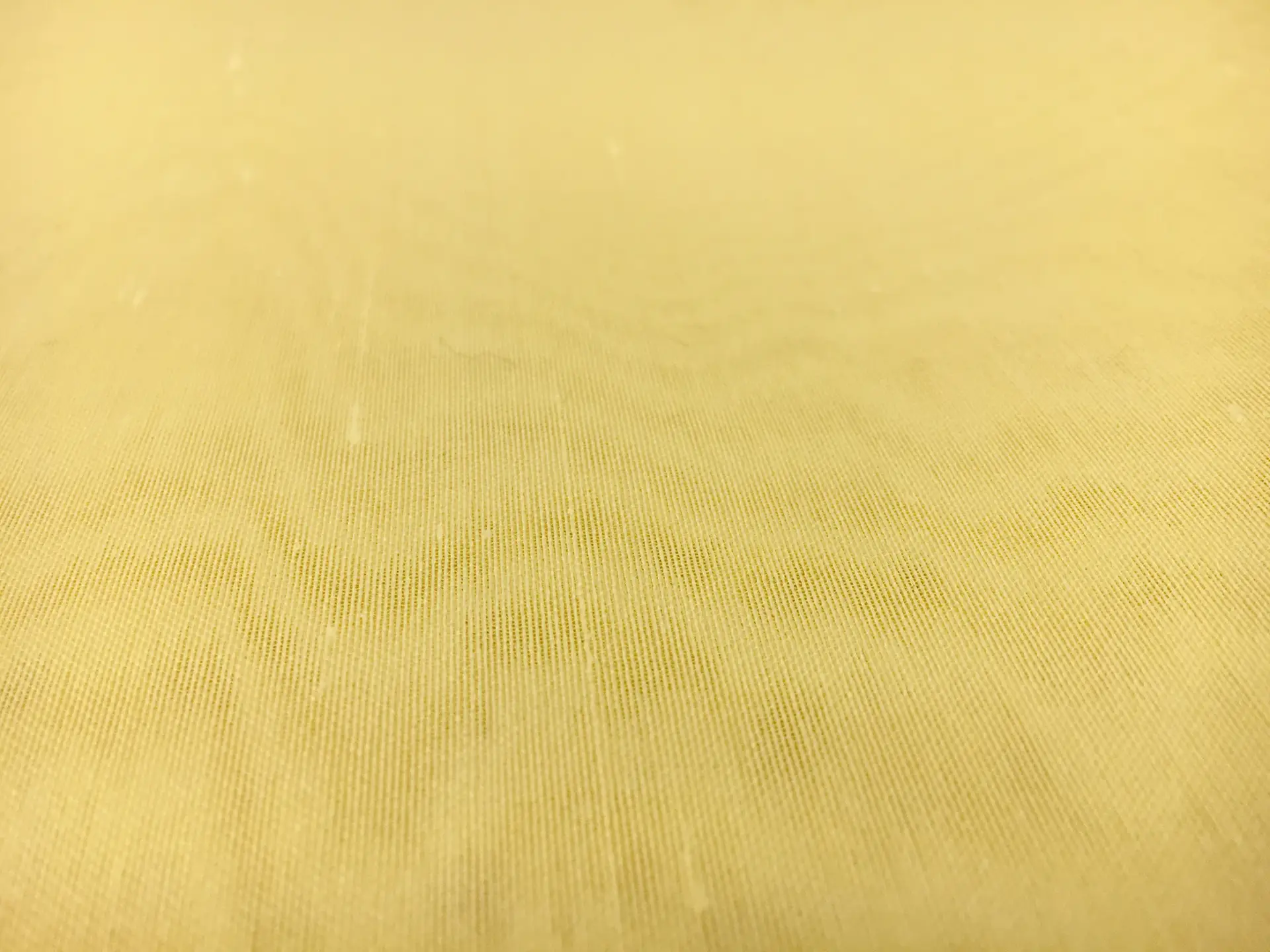 Silk Gazar with Slubs 
