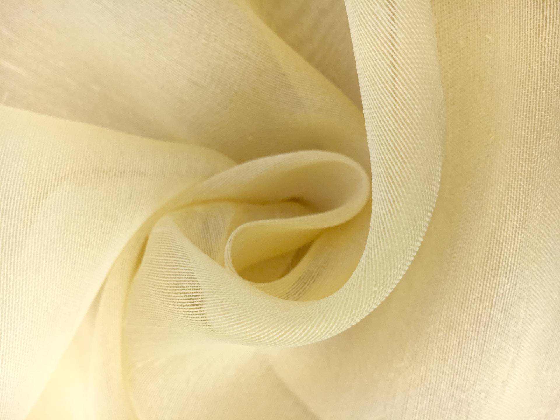 Silk Gazar with Slubs 