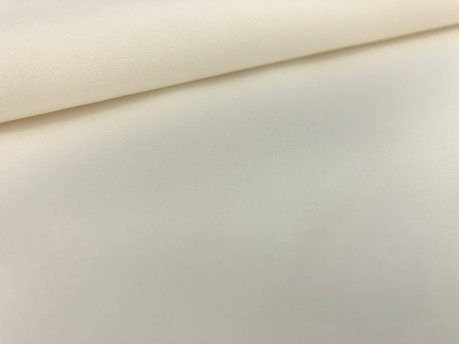 Lightweight Rayon Blend Ponte Knit in Off White