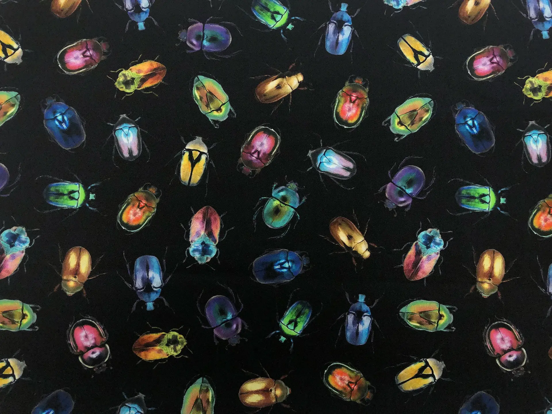 Cotton Broadcloth Digital Print Beetles on Black