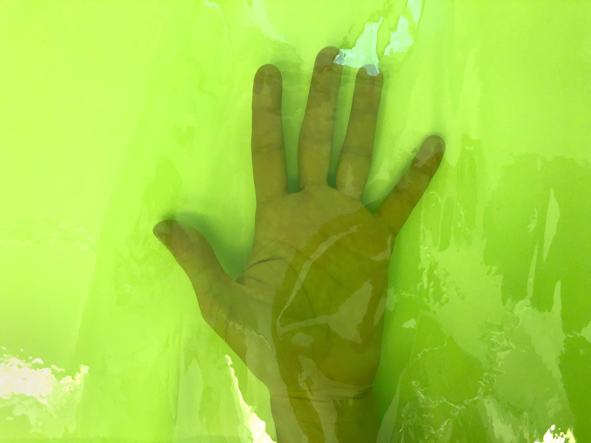 Clear Tinted Plastic in Green