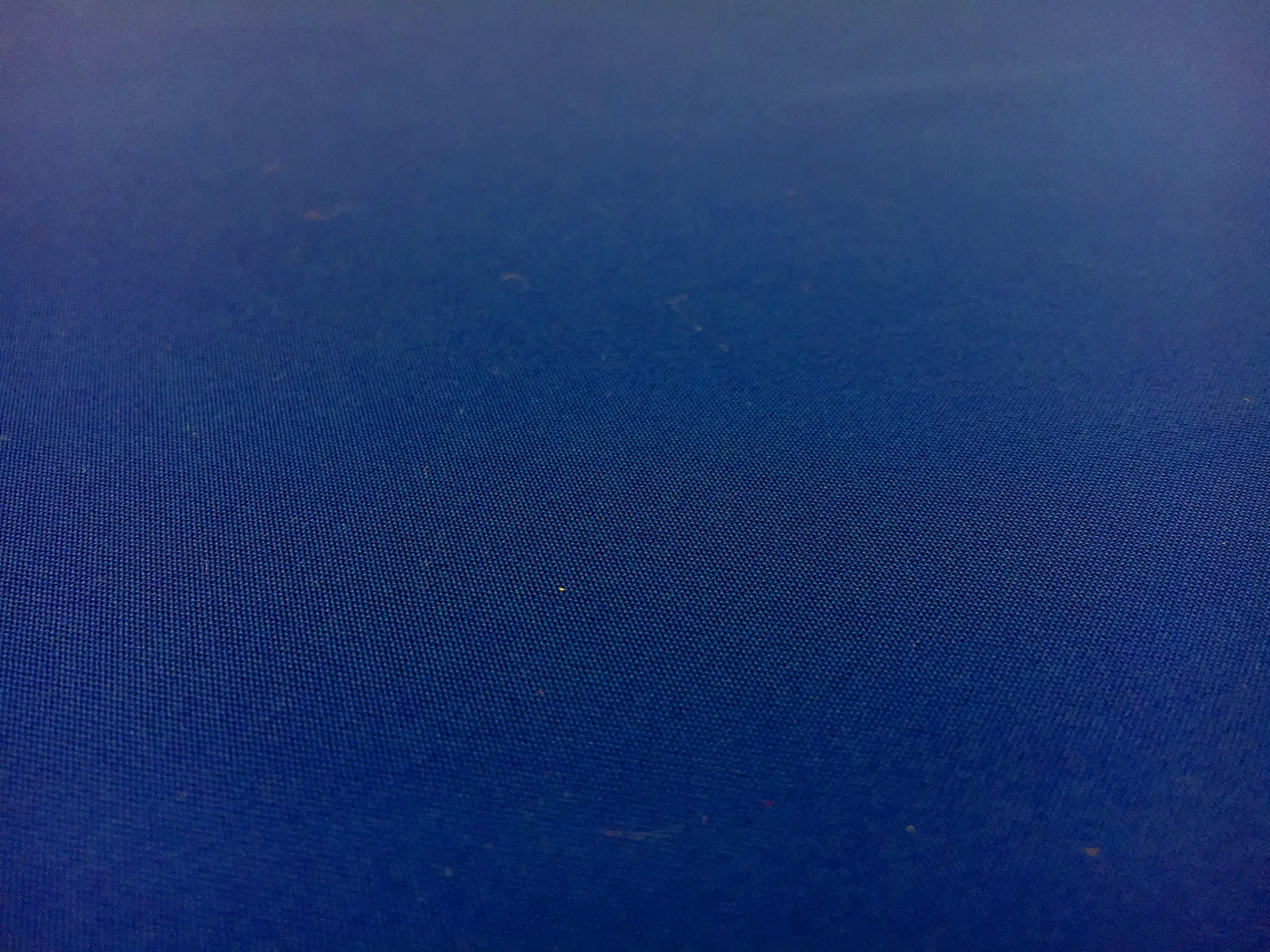 Japanese Techno Stretch in Cobalt