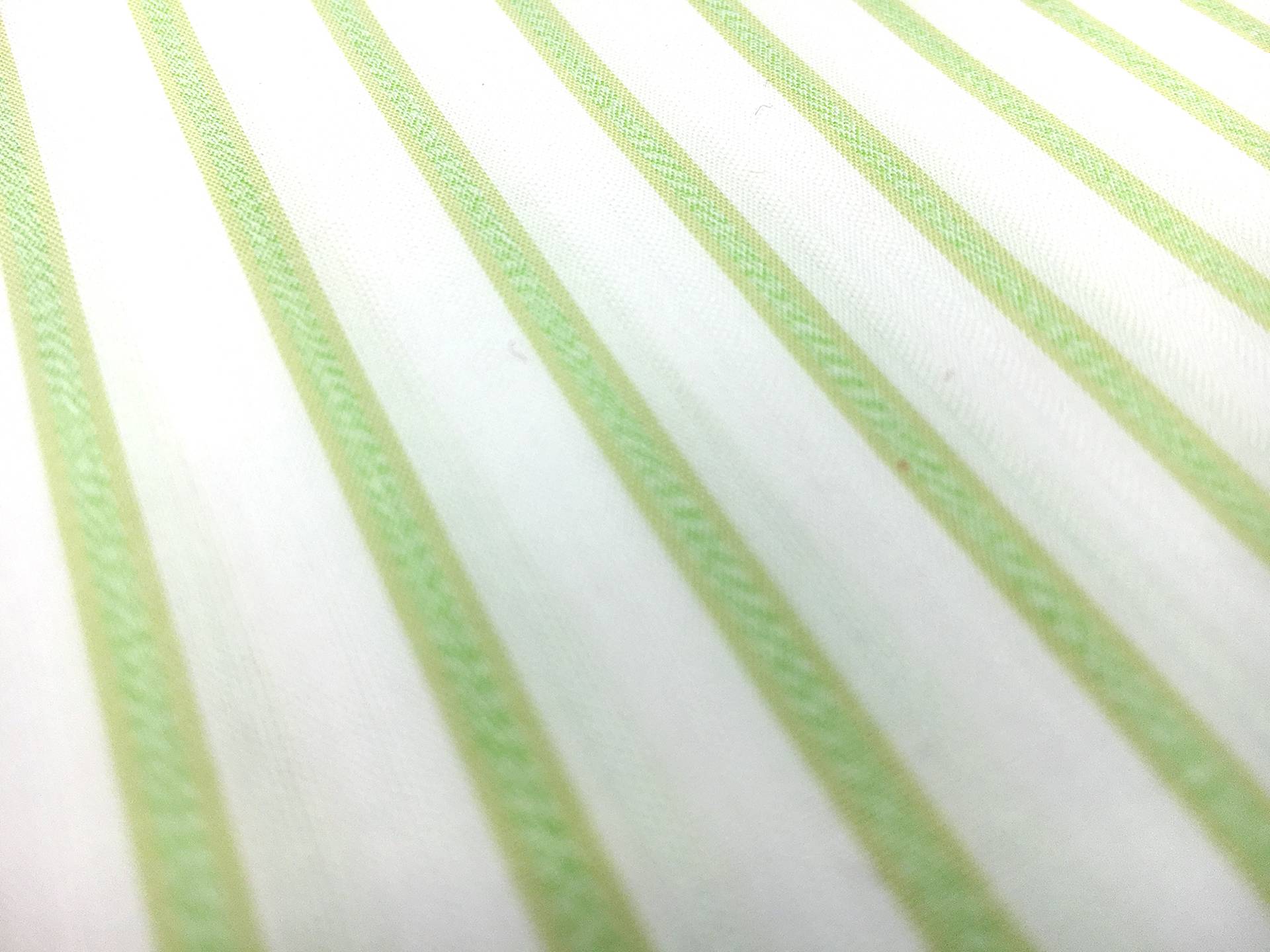 Cotton Shirting with Apple Green Woven Stripe