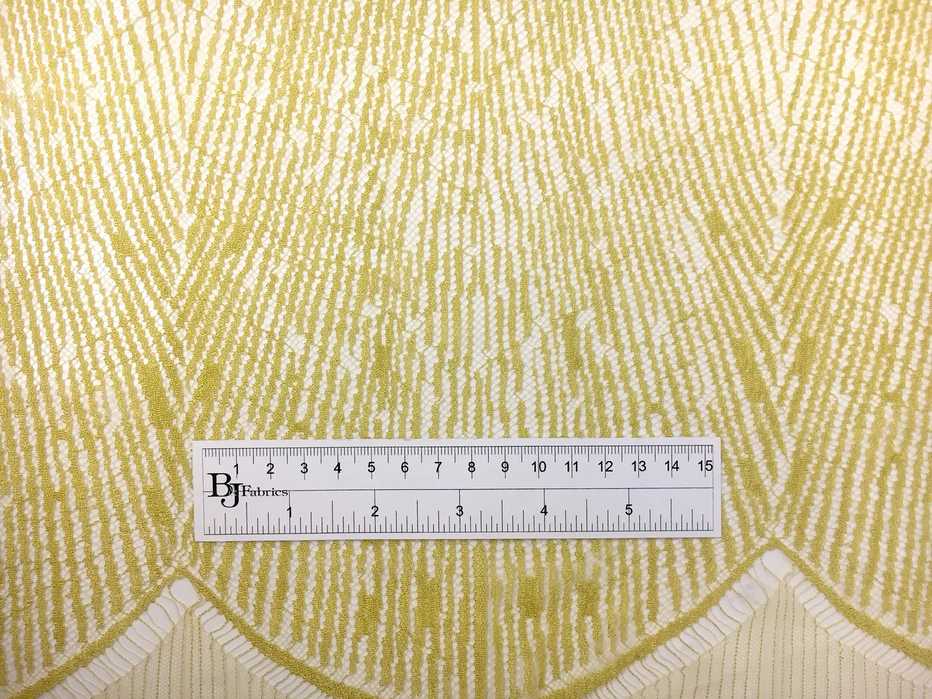 Single Scallop French Chantilly Lace in Gold