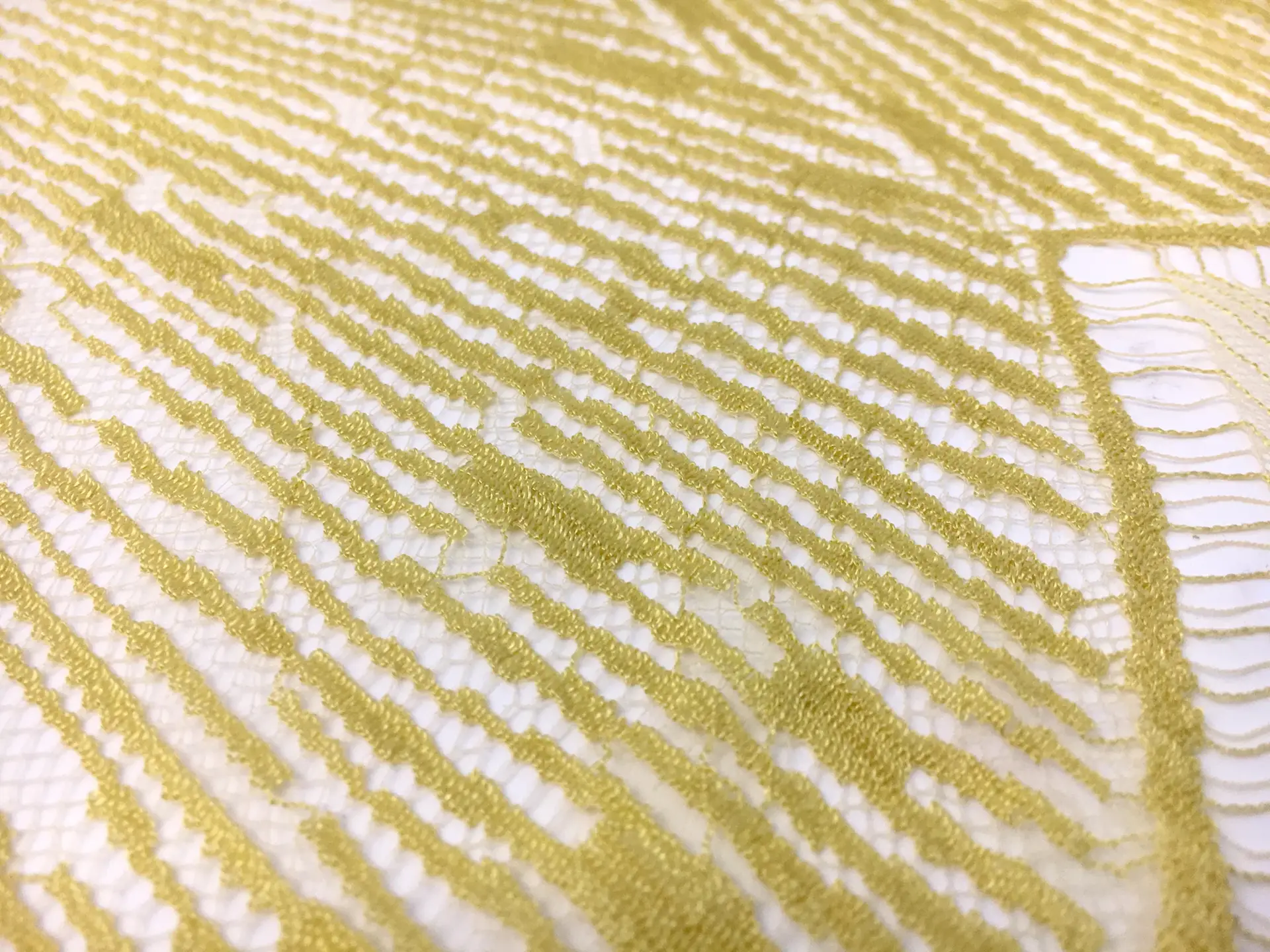 Single Scallop French Chantilly Lace in Goldenrod