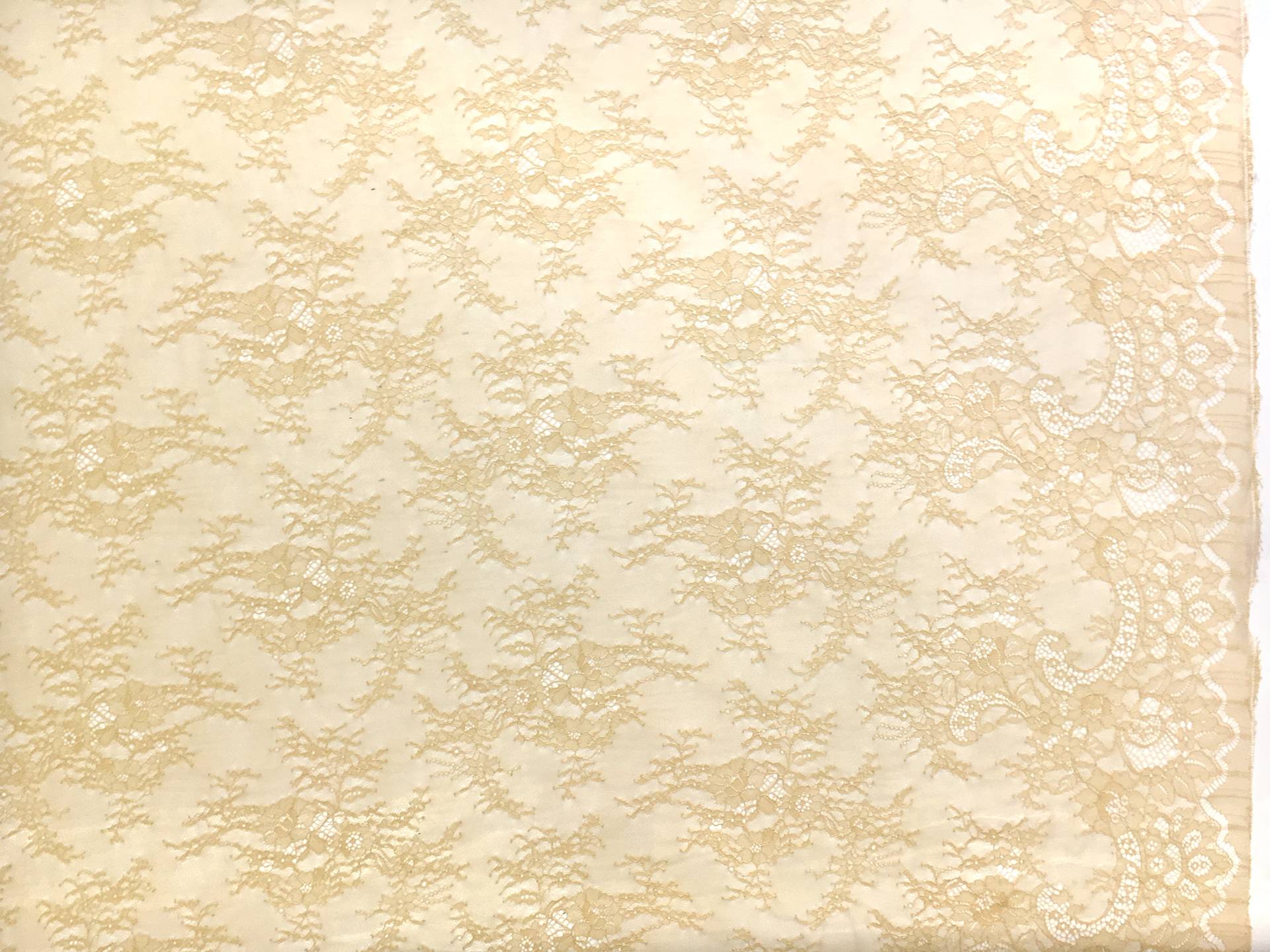 Wide Chantilly Lace in Goldenrod