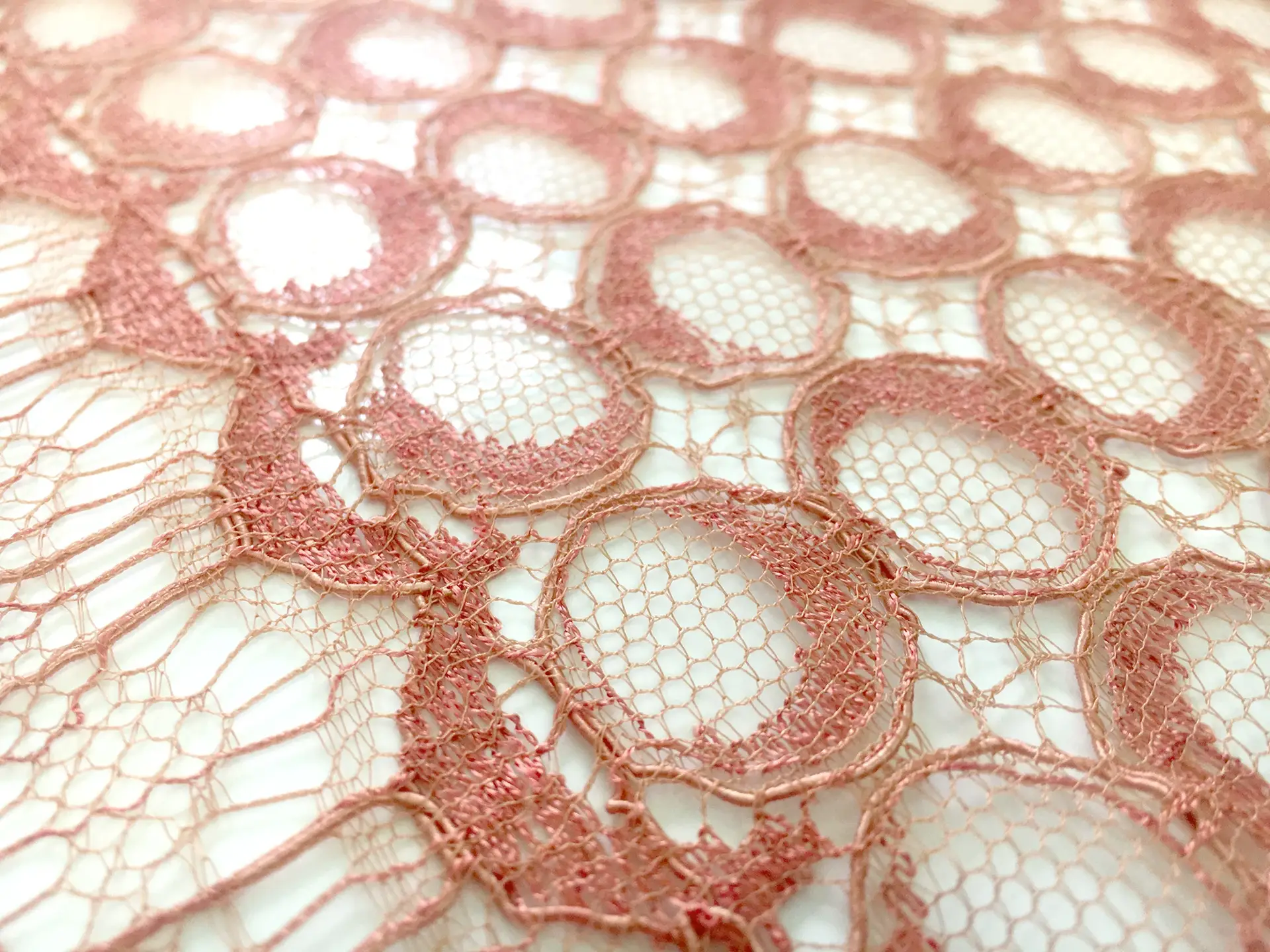 Corded Chantilly Lace with Repeating Circles in Melon