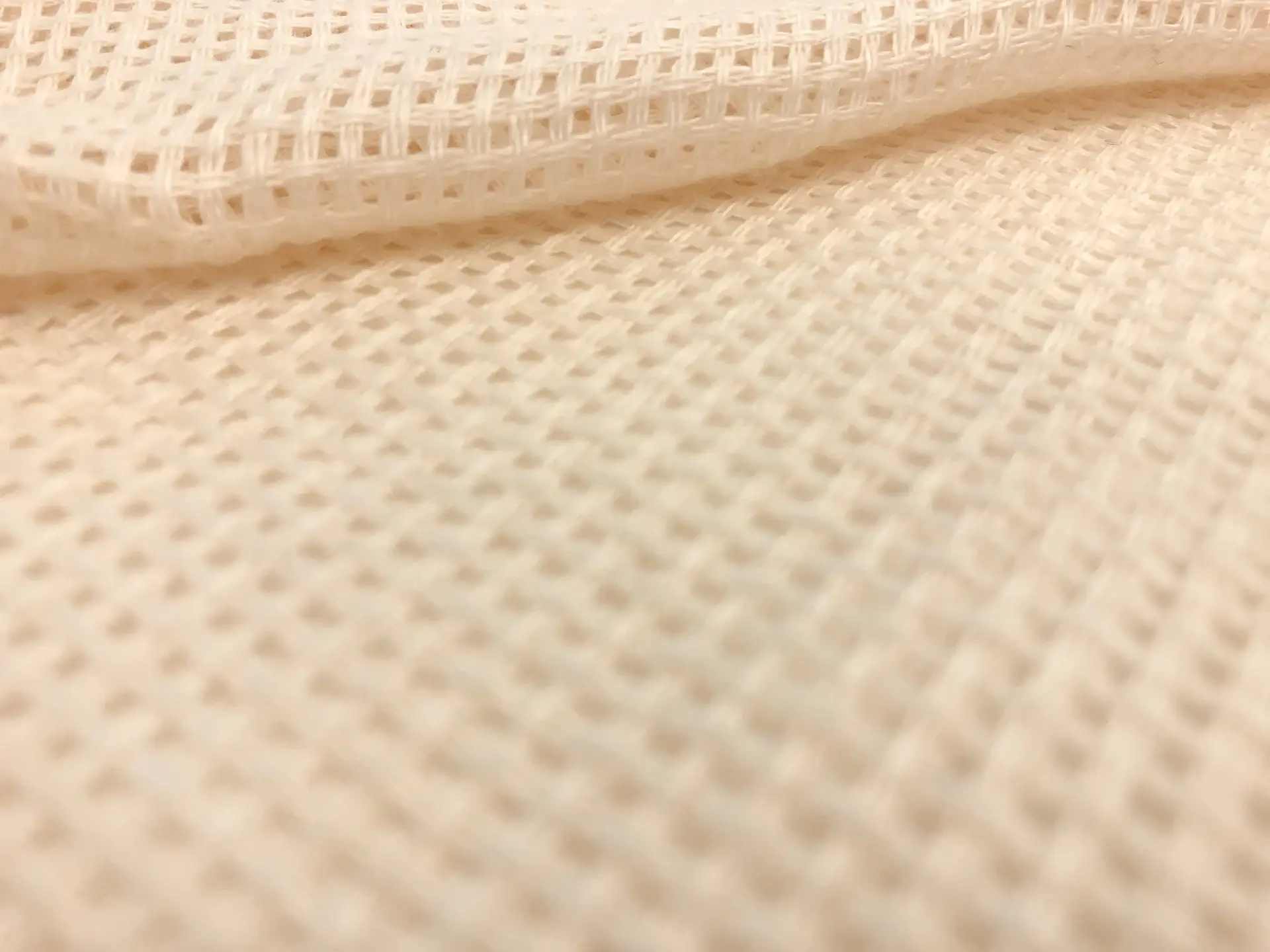 Linen Mesh in Ecru