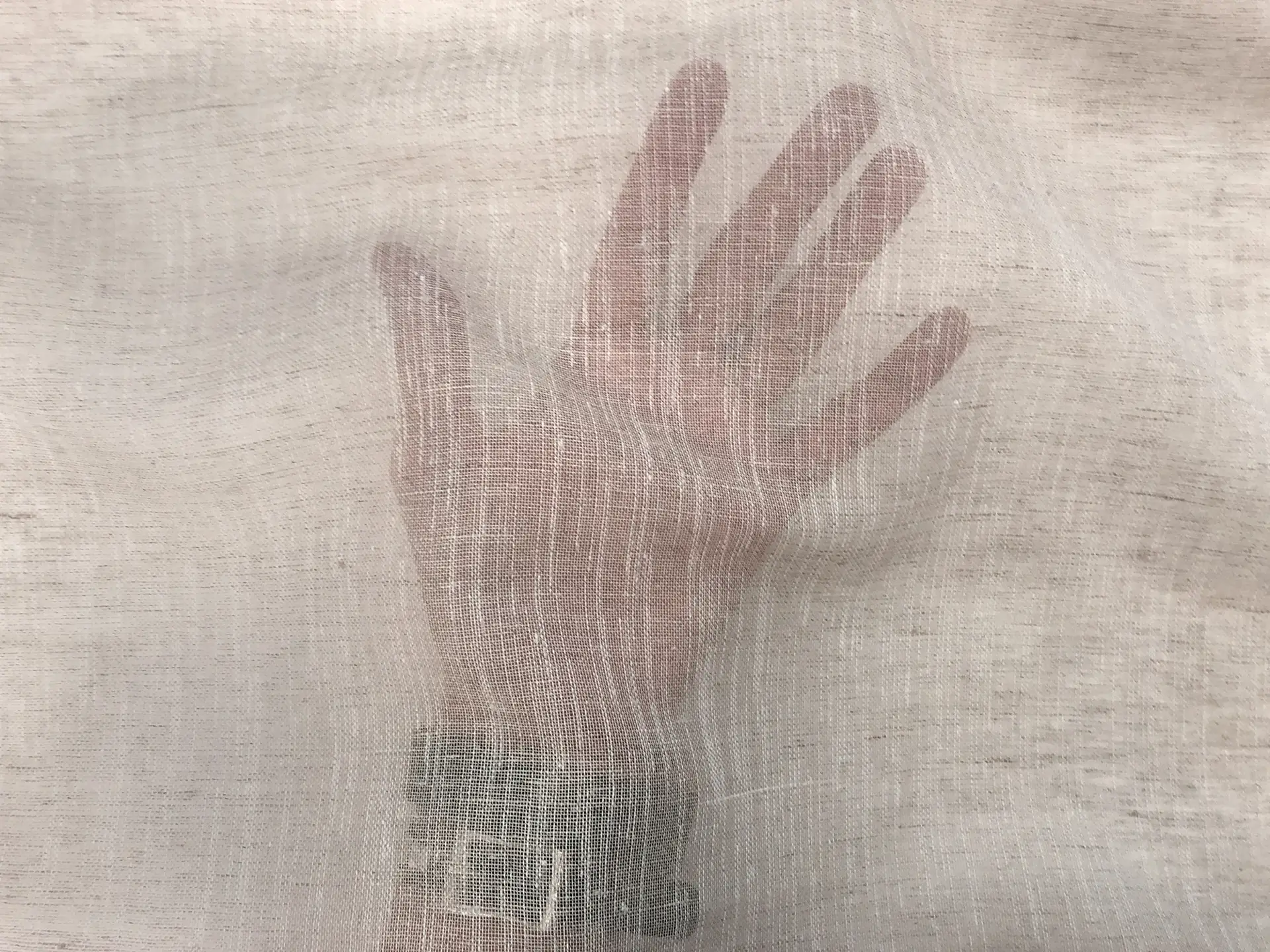 Linen Poly Blend Sheer Mesh in Oatmeal