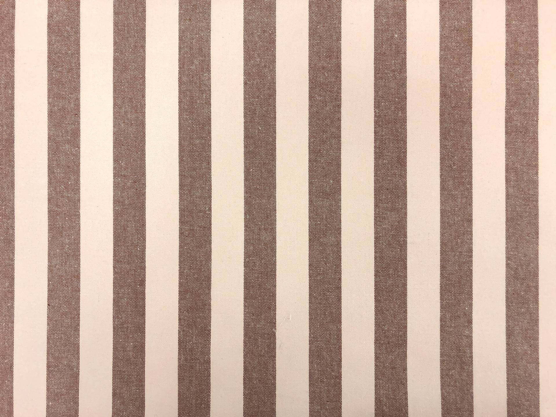 Cotton Canvas 1" Stripe in Irish Coffee