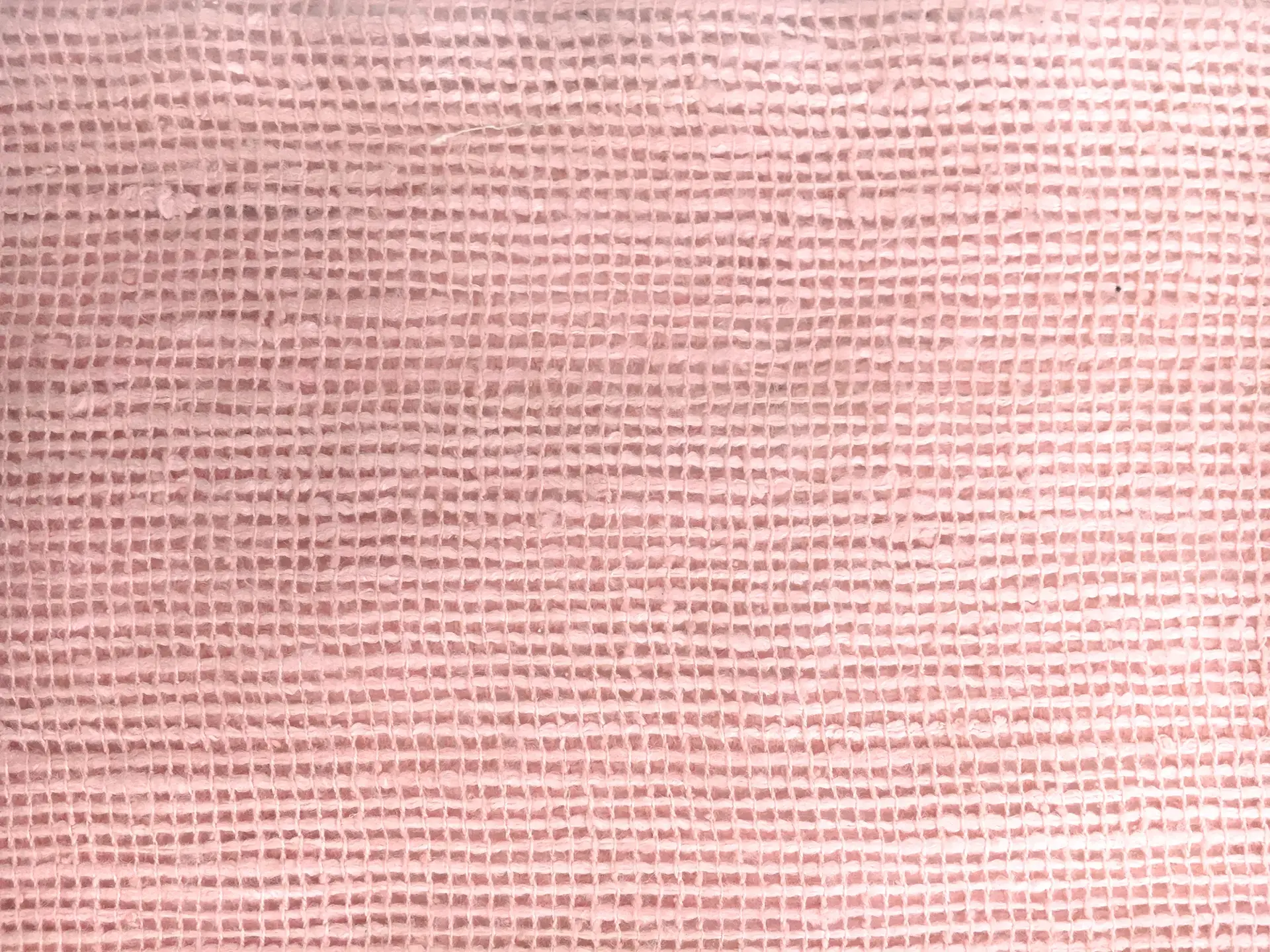 Silk Mesh in Light Pink