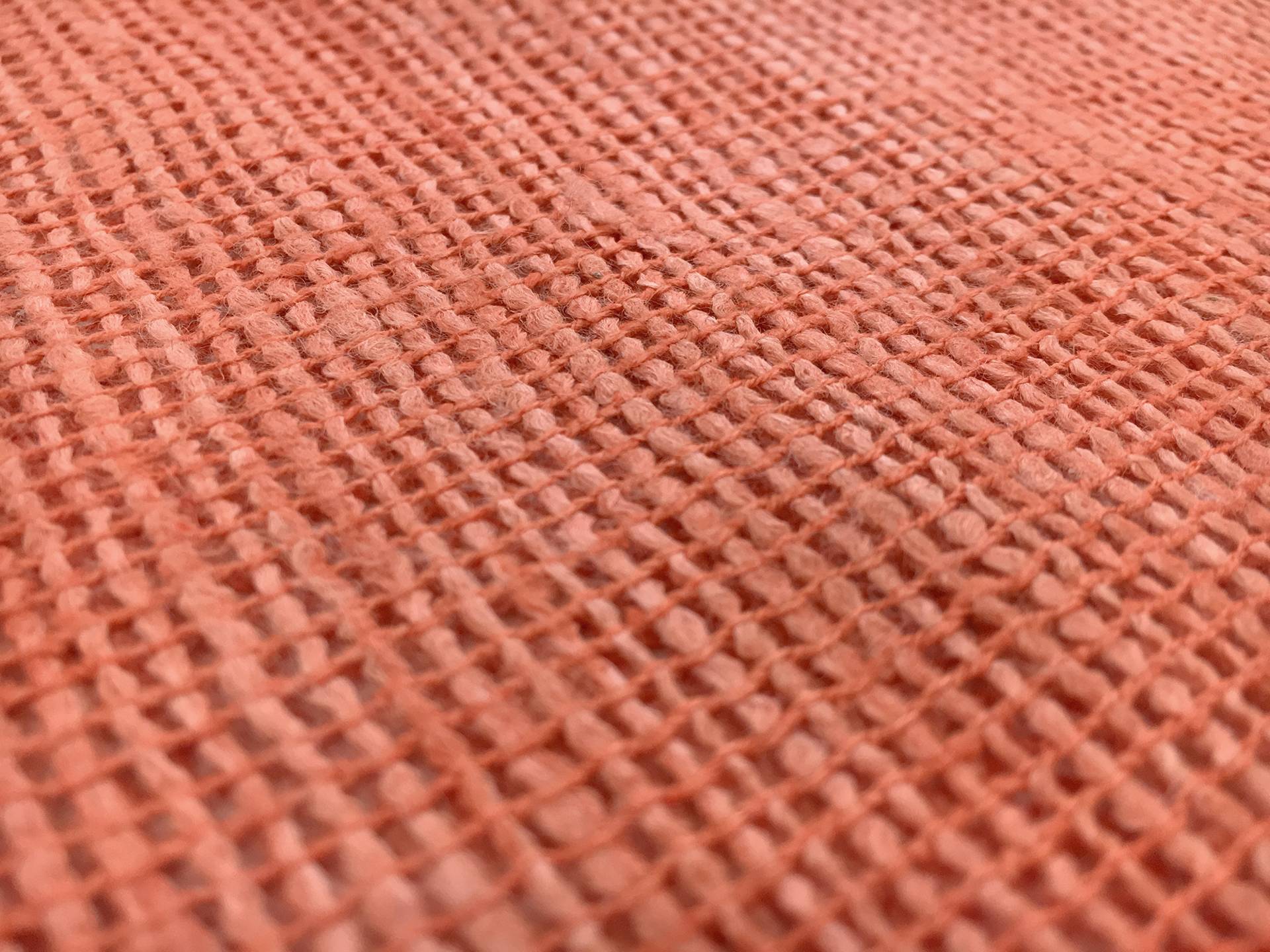 Silk Mesh in Coral