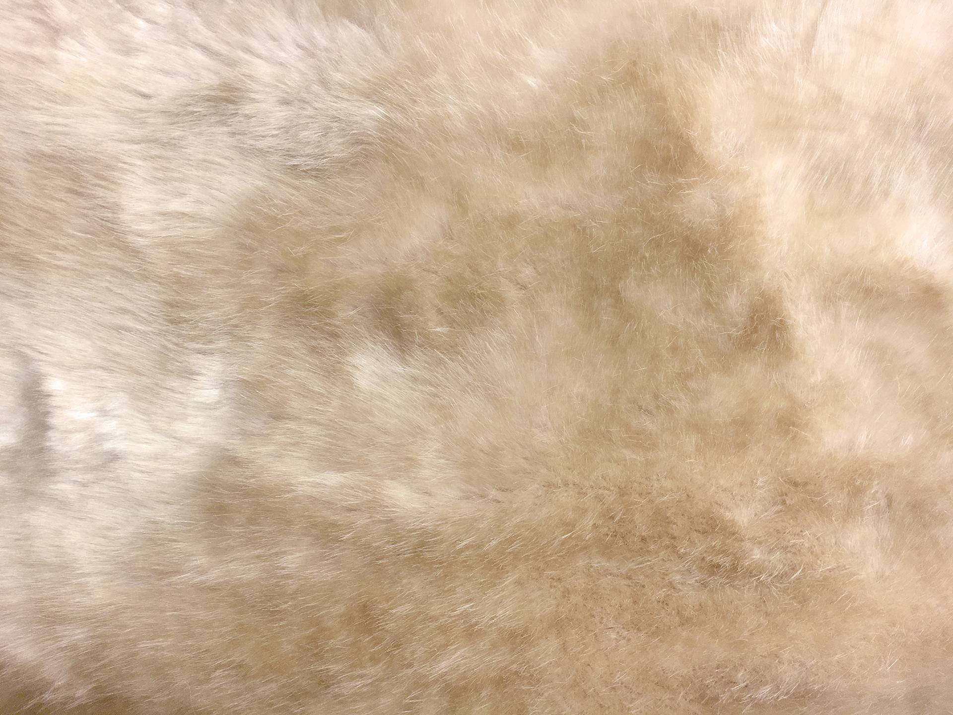 Luxury Sable Faux Fur in Blonde