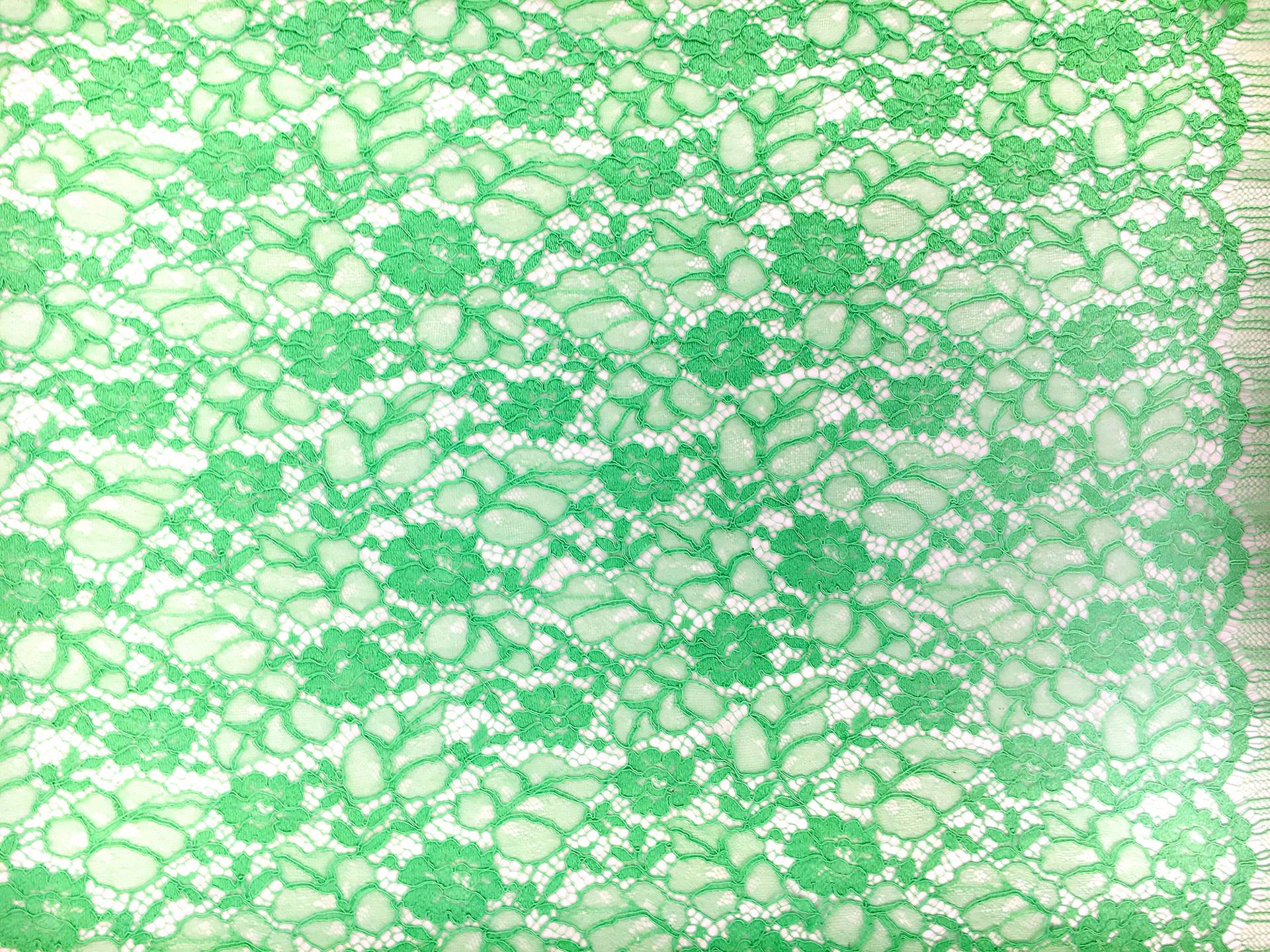 French Corded Chantilly Lace in Lime