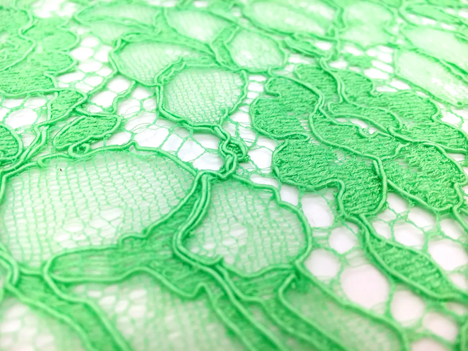 French Corded Chantilly Lace in Lime