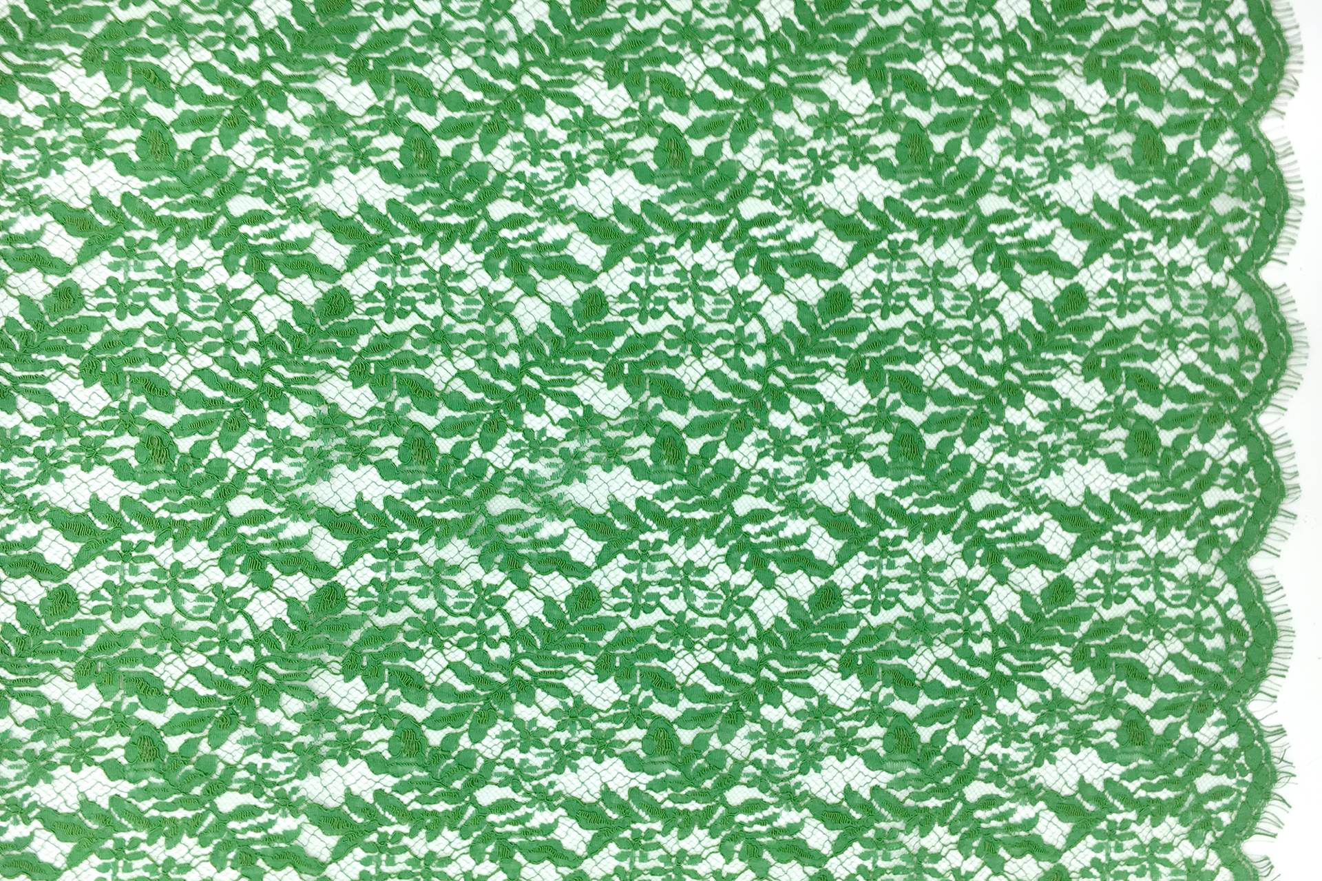 France Corded Chantilly Lace in Seagreen
