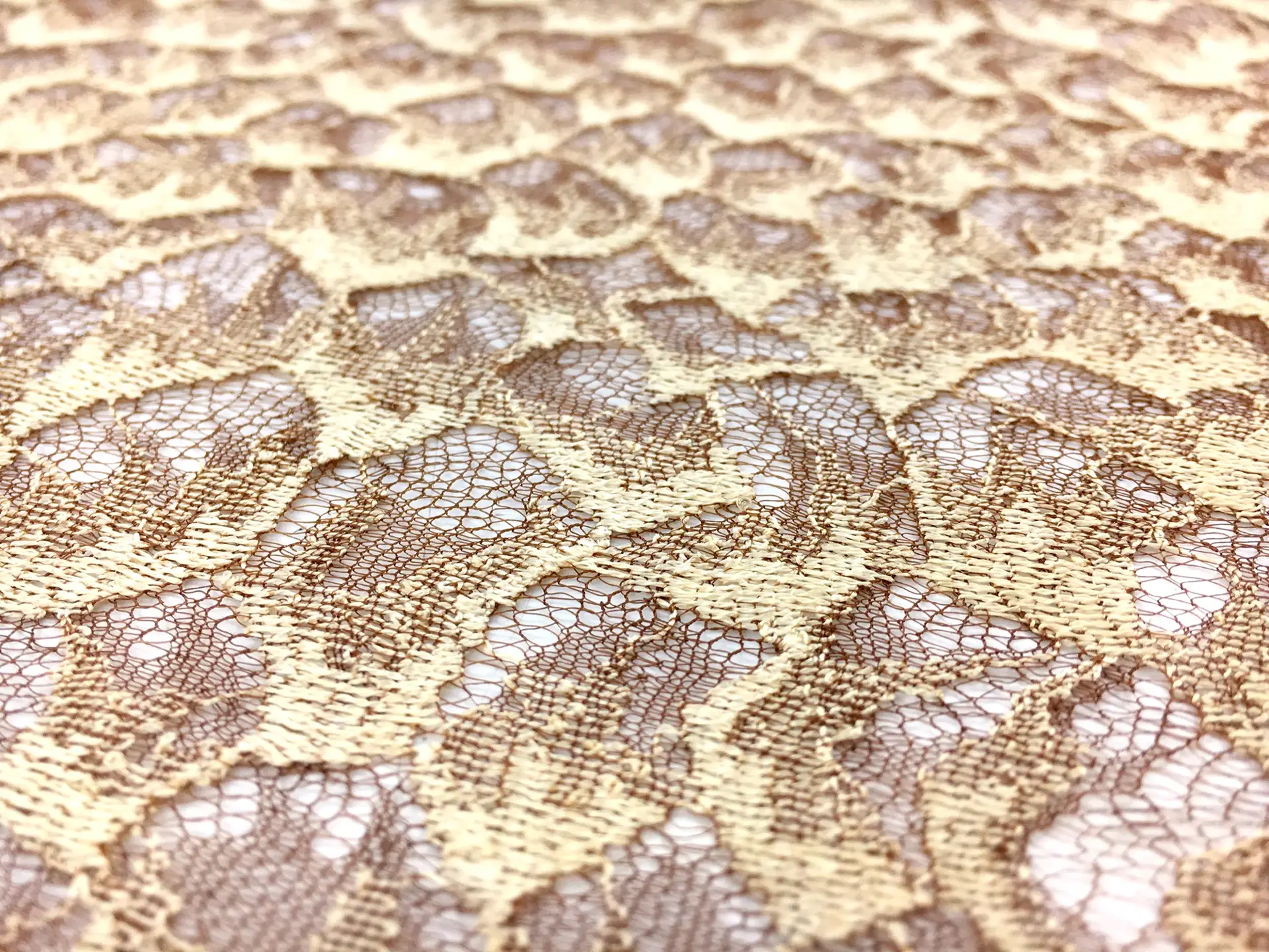 French Chantilly Lace Beige & Brown