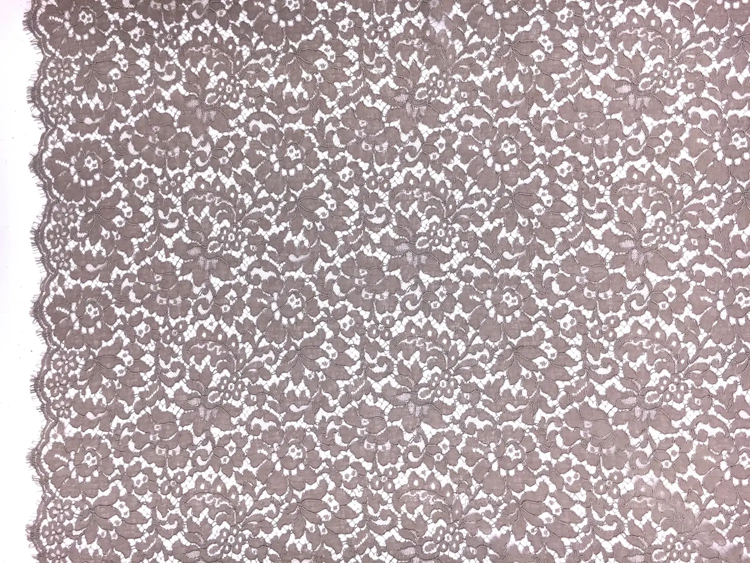 French Corded Chantilly Lace in Warm Taupe