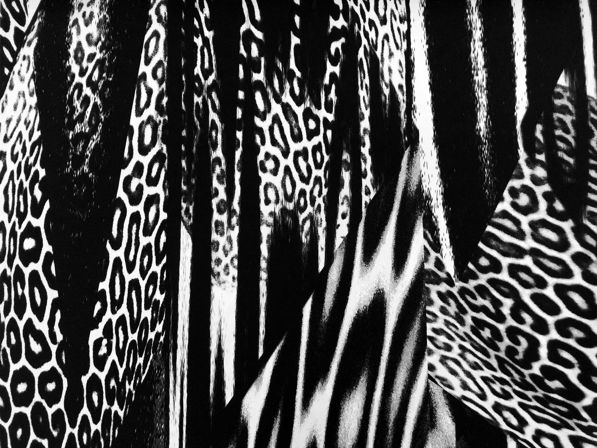 Stretch Cotton Sateen Animal Print
