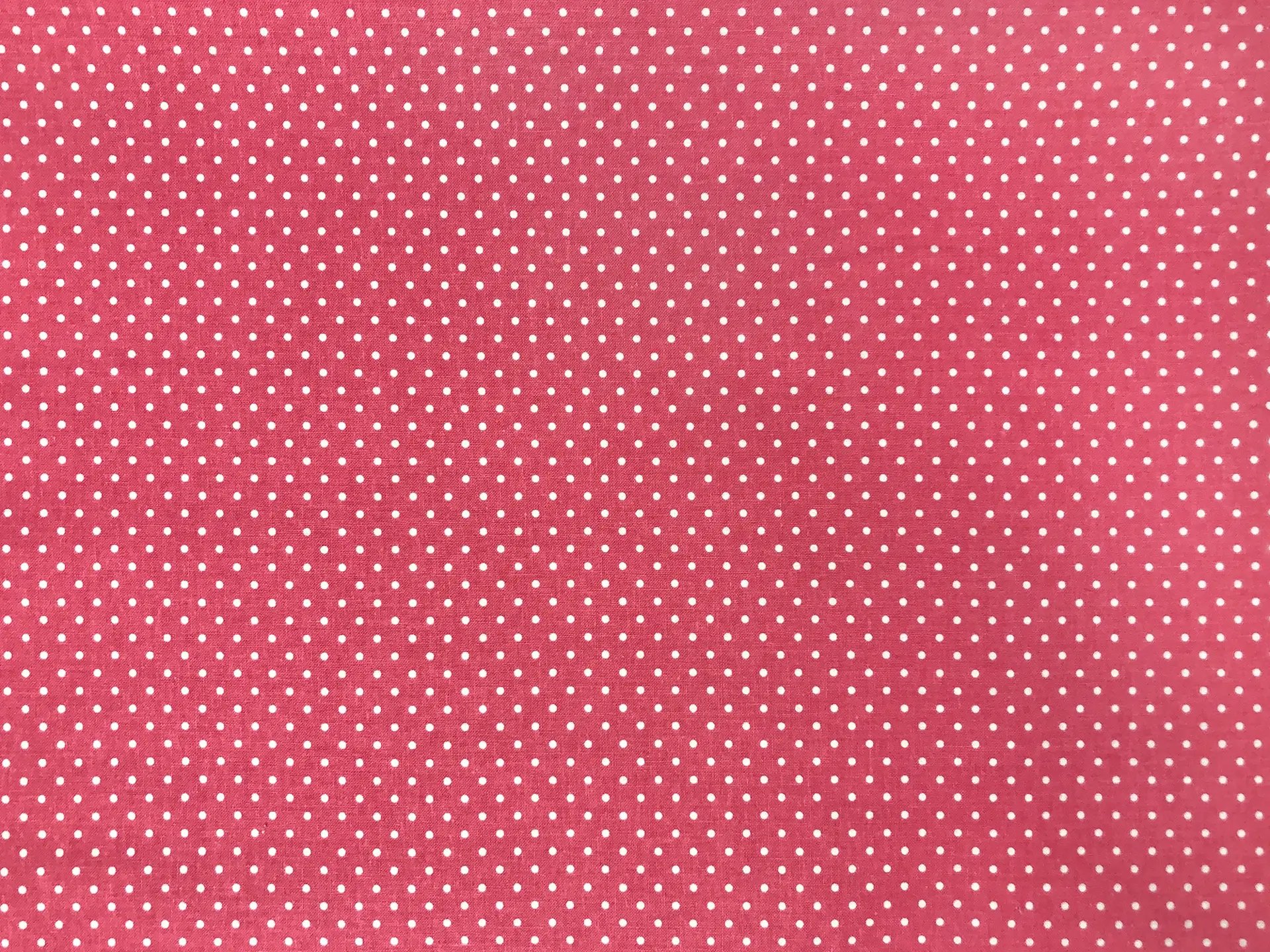 Cotton Broadcloth Polka Dots Print in Pink