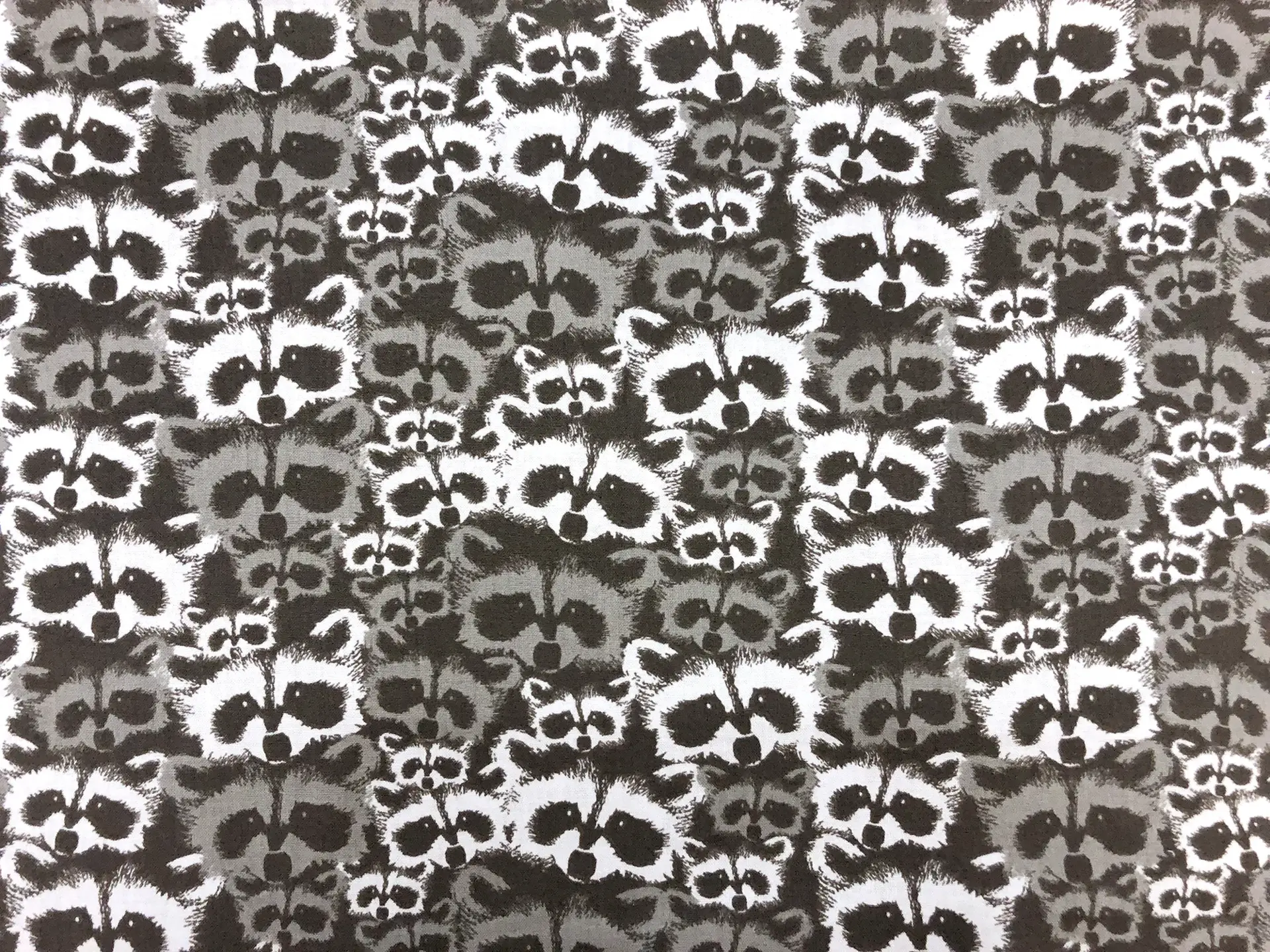 Cotton Broadcloth Racoons Print