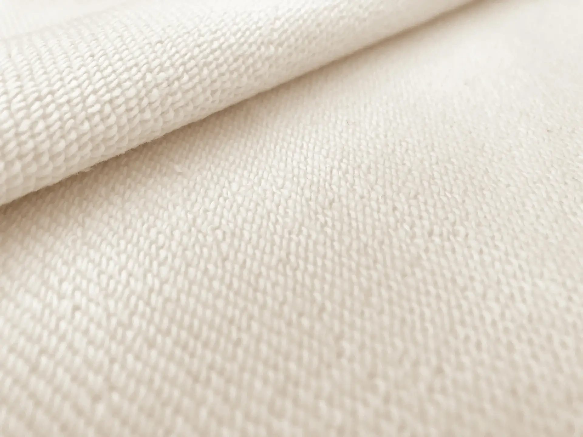 Japanese French Terry Knit in Ivory